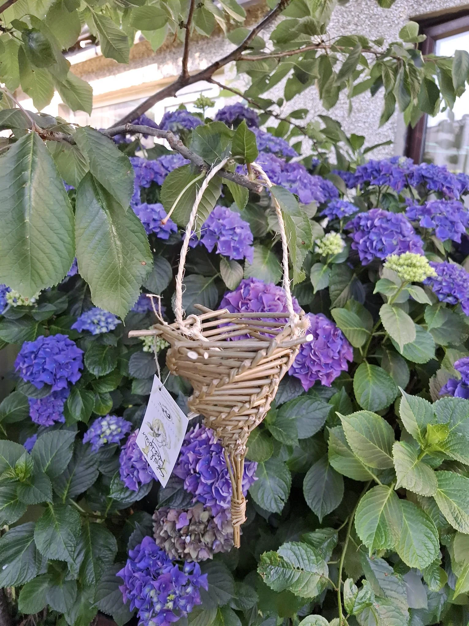 Weave a Birdfeeder