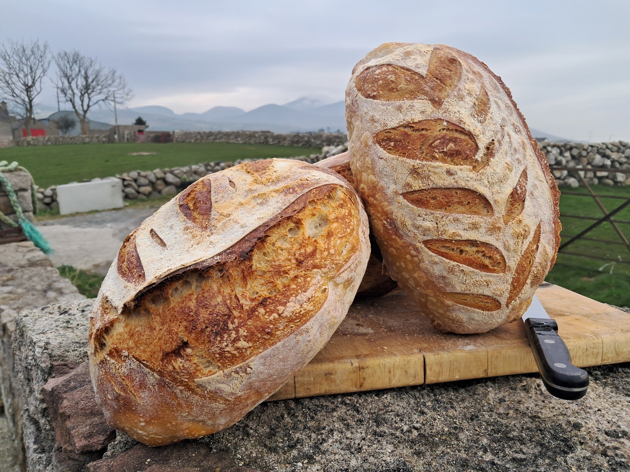 sourdough 2.jpg