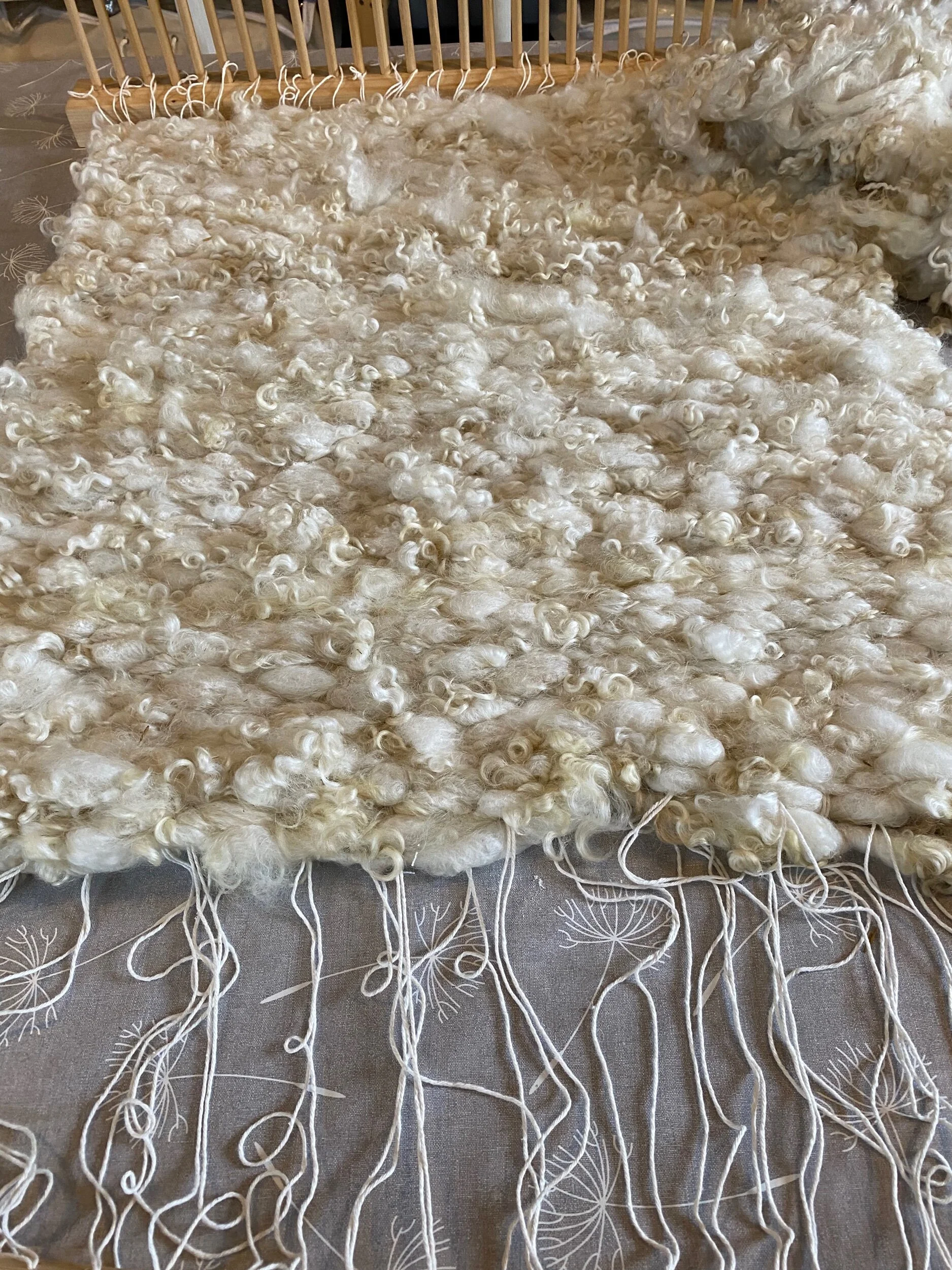 8A4888FB-FC8D-426B-8167-E06D961BA0FB