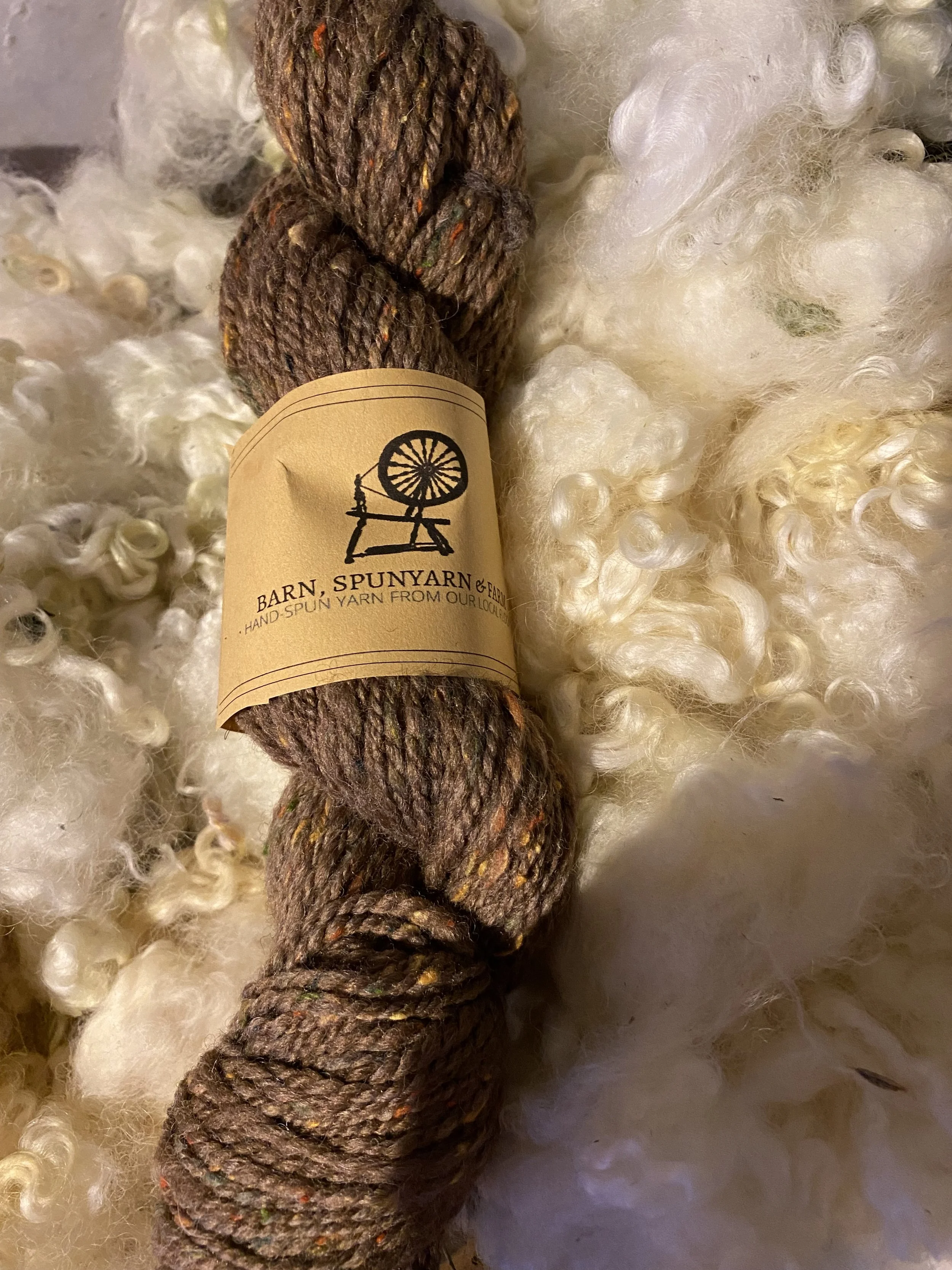 Handspun Speckled Hen Yarn