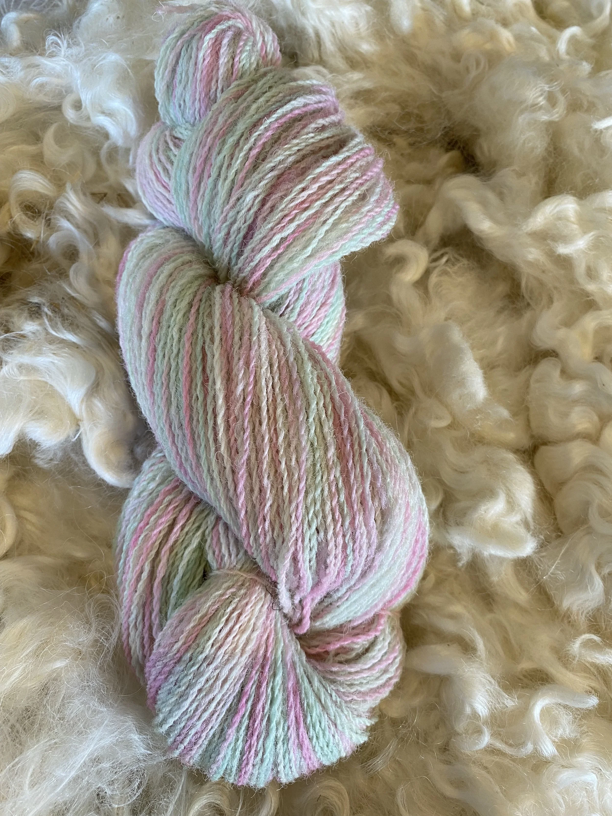 Hand- dyed Spring Time   Yarn