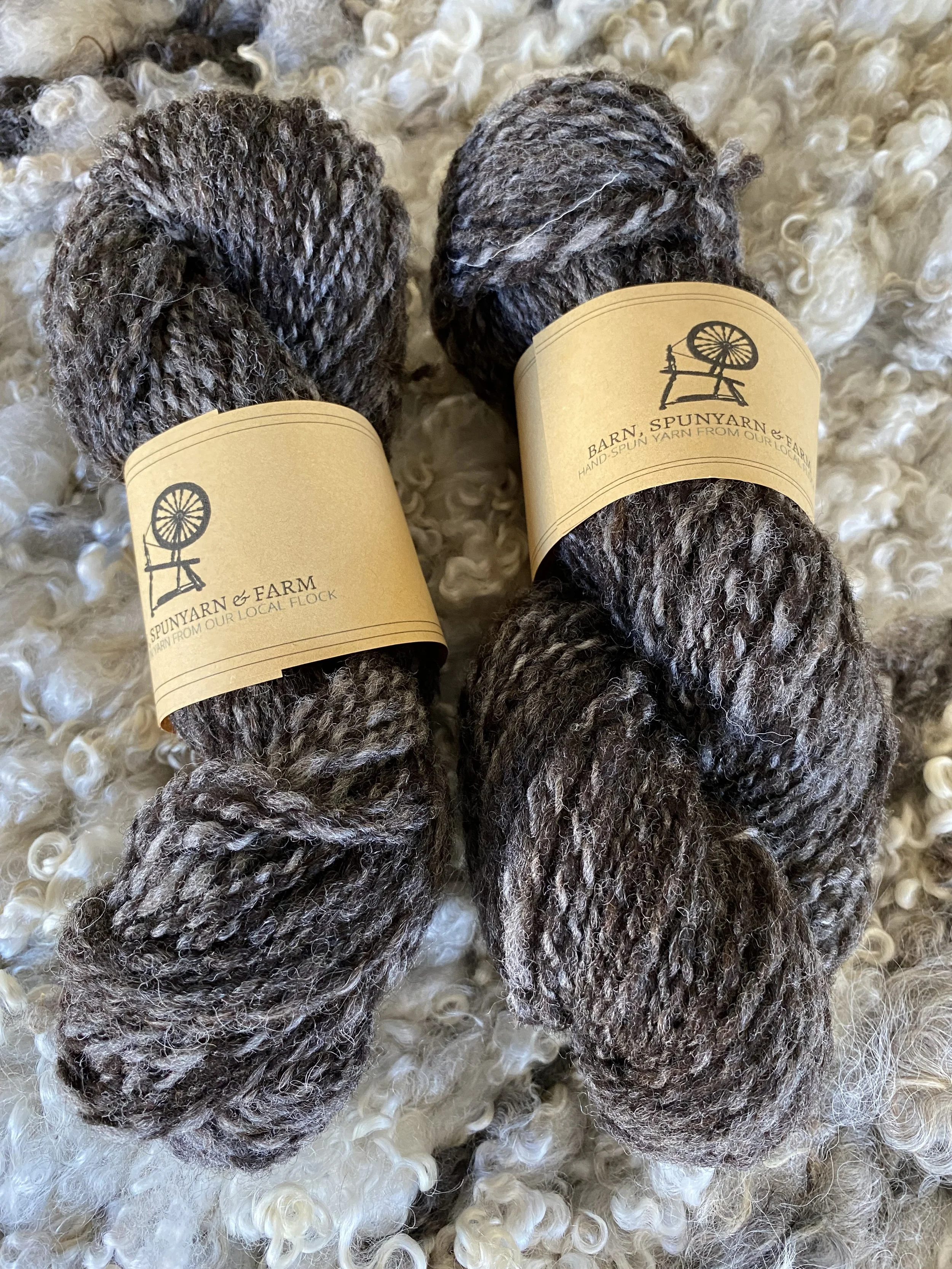 natural blue texel.jpeg