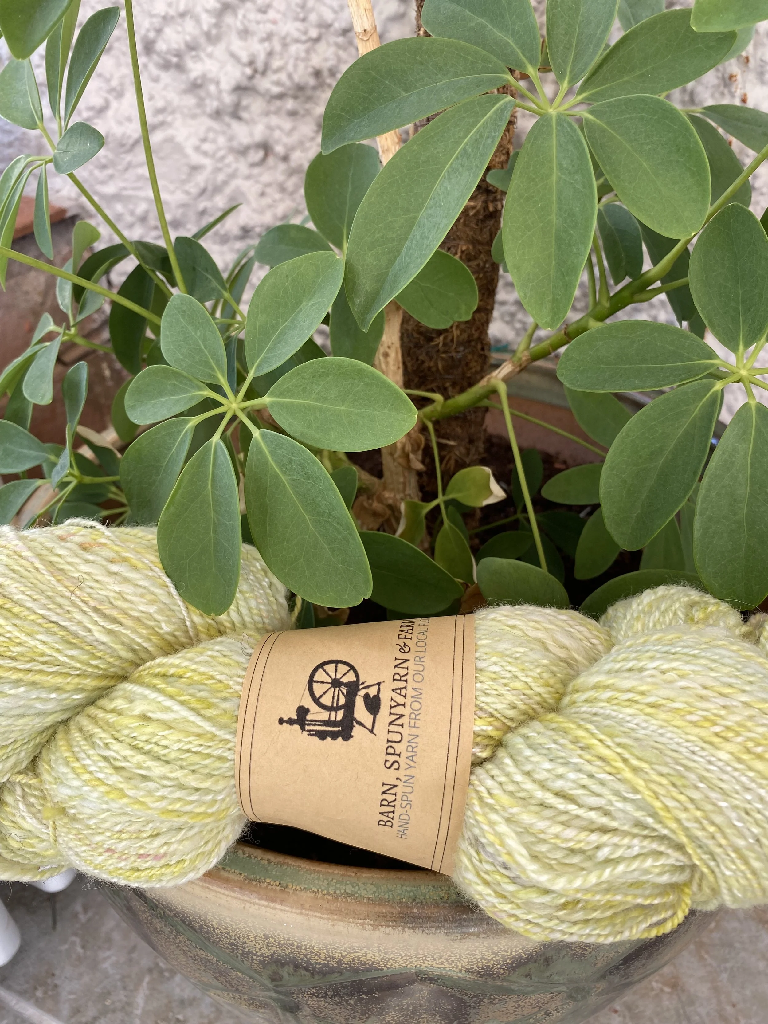 Handspun " Champagne" Yarn