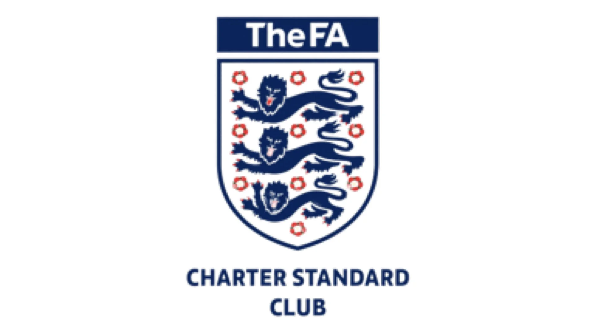 CANDI Websites Images_16-9.063.jpeg