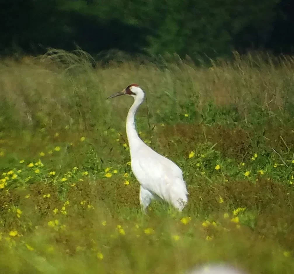 Field Trip: Powderhorn Ranch WMA and State Park