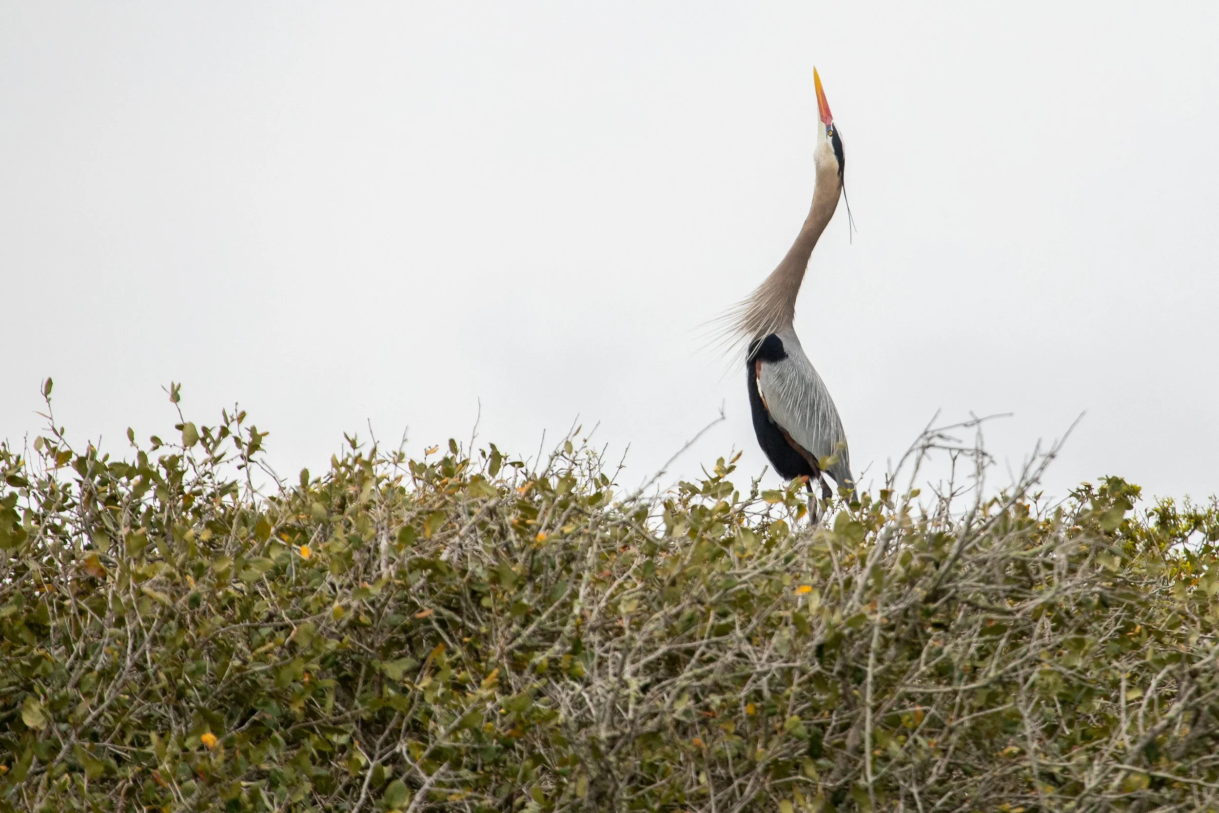 AOC Field Trip: Rockport