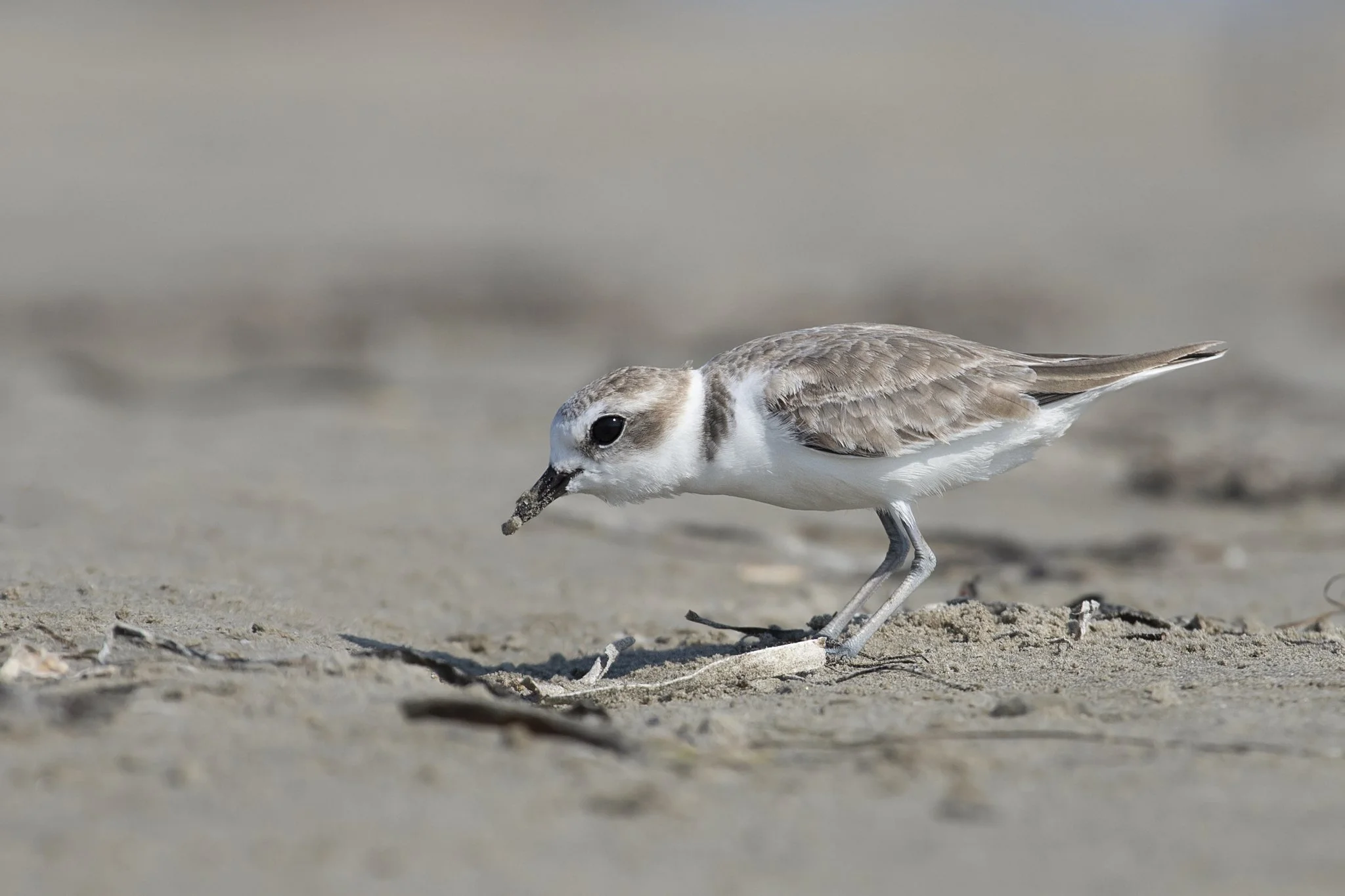 AOC Field Trip: San Patricio County