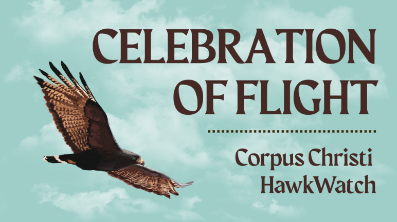 Celebration of Flight