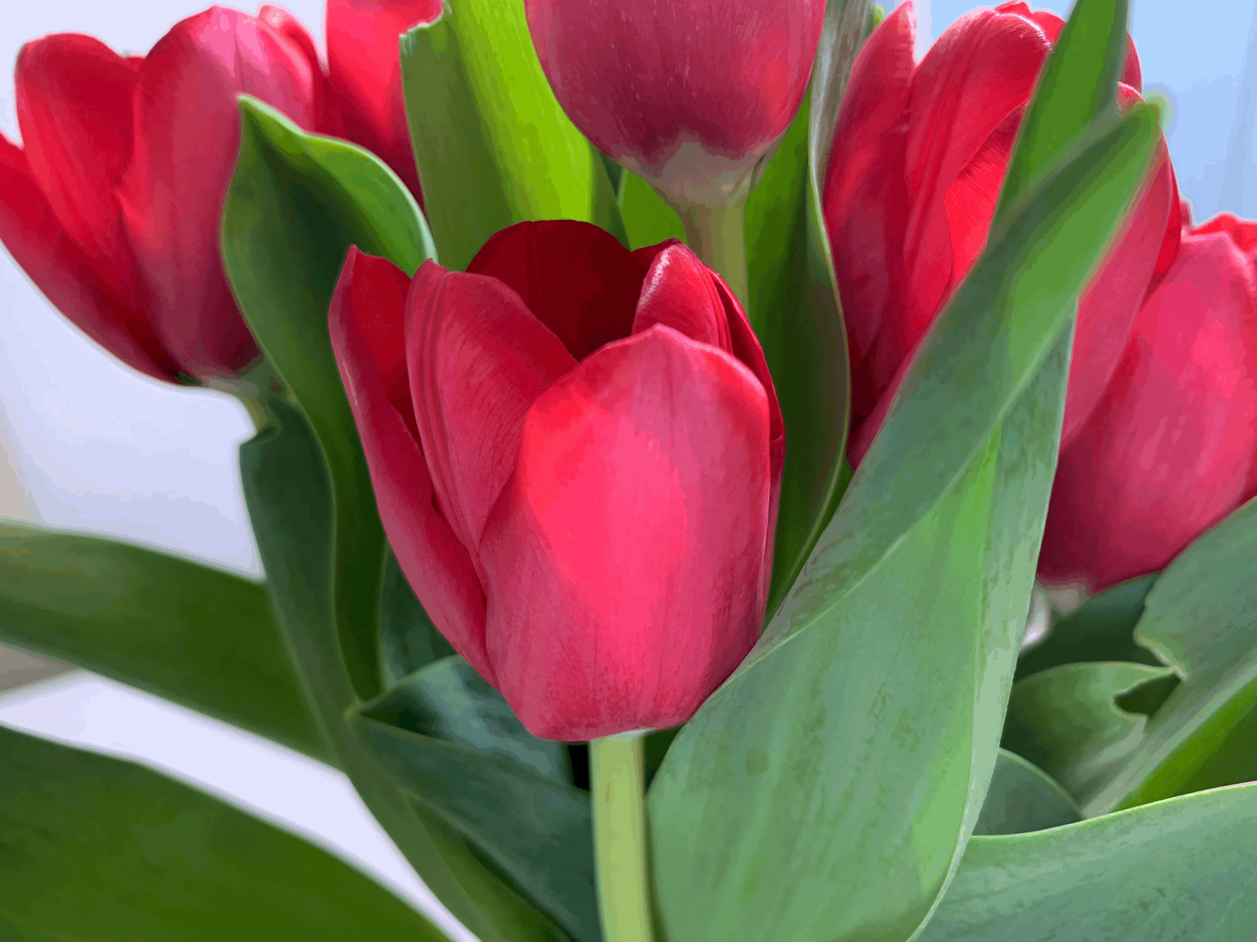 Ready For Spring?
