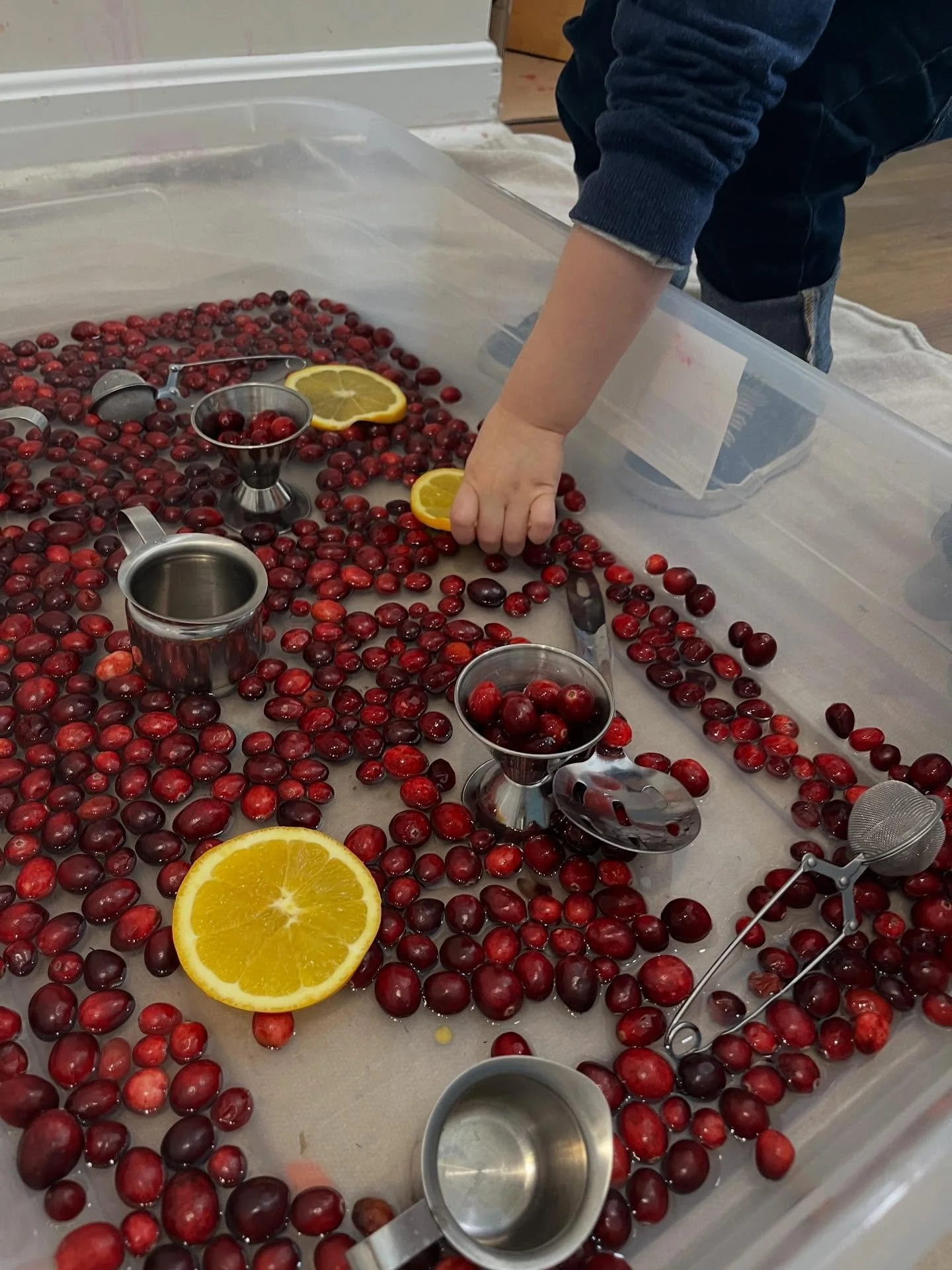 This week, we had our cranberry bog sensory bin, which one parent deemed as the &ldquo;most New England&rdquo; sensory bin ever 😆 . Every year before Thanksgiving, we set up colorful and fragrant bins of water, fresh cranberries, and orange slices. 