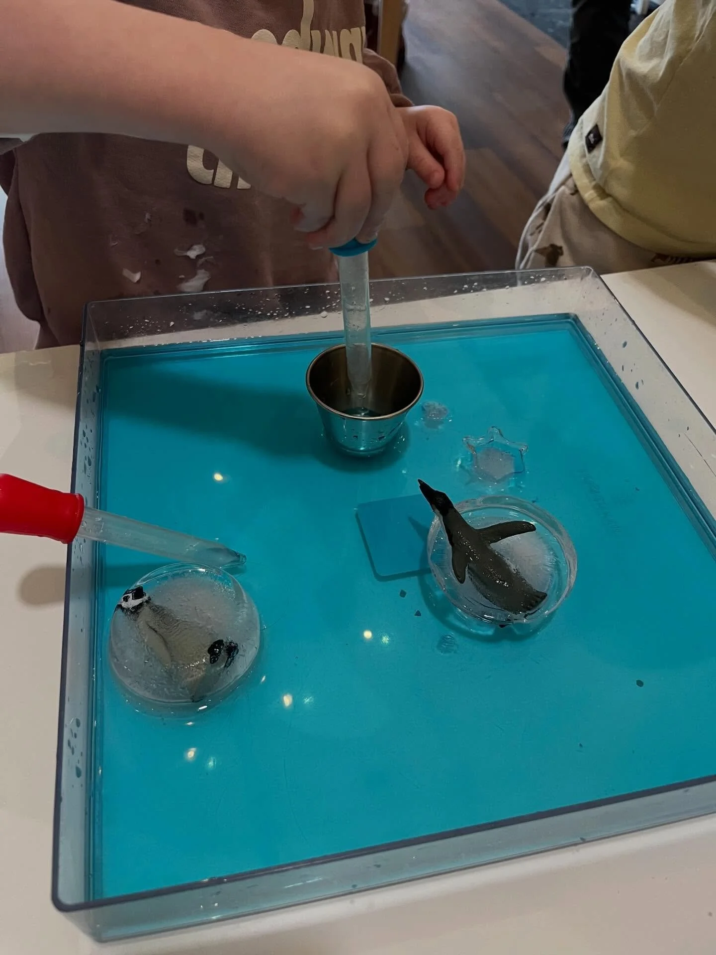 Sensory Fun classes (18 months - 5 years)! Children used play dough and winter themed loose parts to create snow people, igloos, and more! They also played with animals frozen in ice and worked to melt snowflake-shaped ice. In our sensory bins, we ha