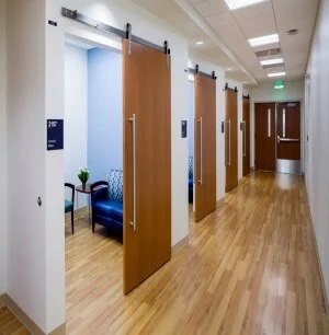 Painting walls and doors in the office