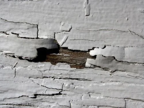 Peeling paint and wood rot on your house