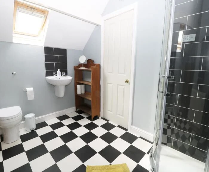 painted floor checkered