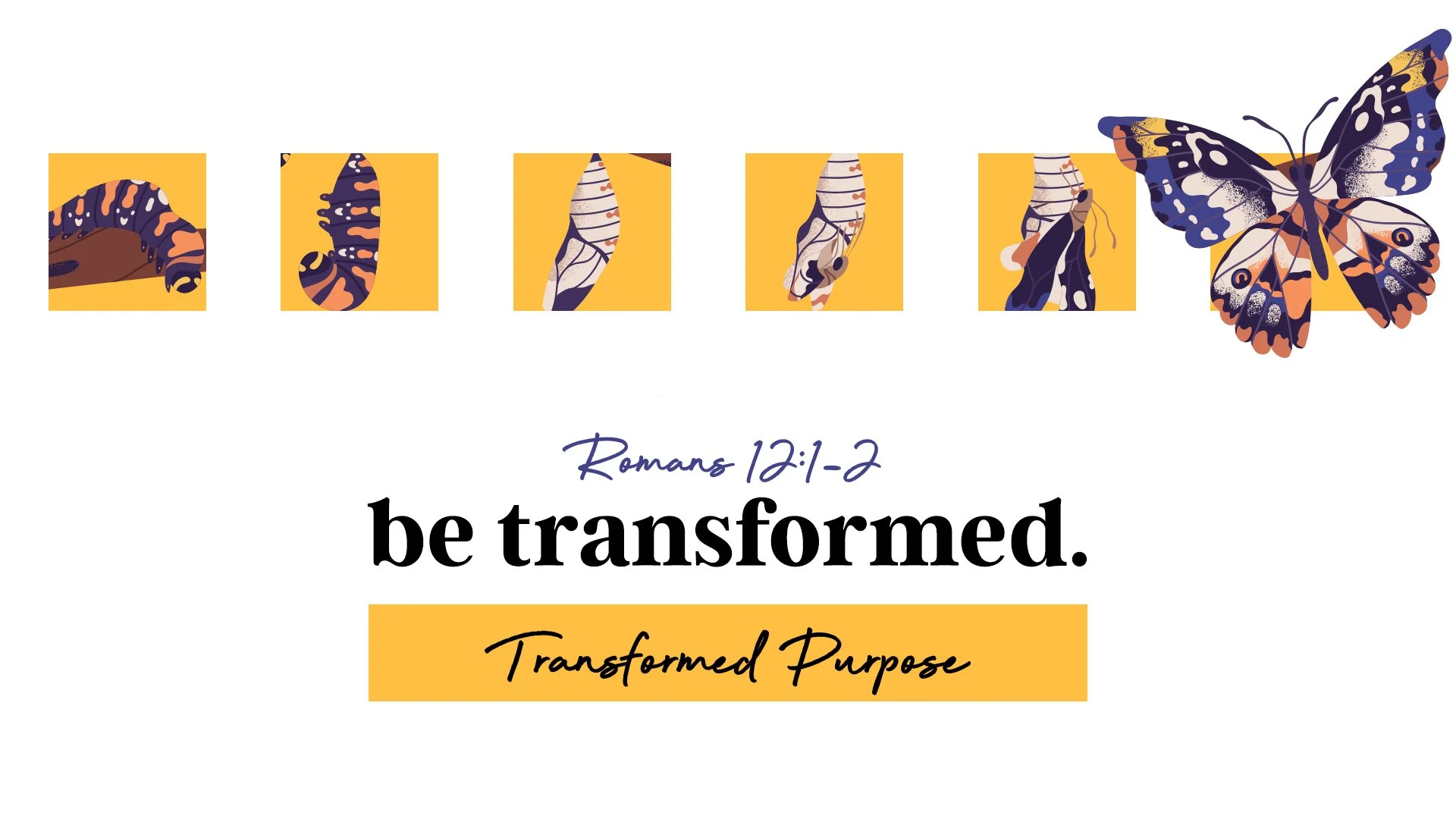 Be Transformed: Transformed Purpose