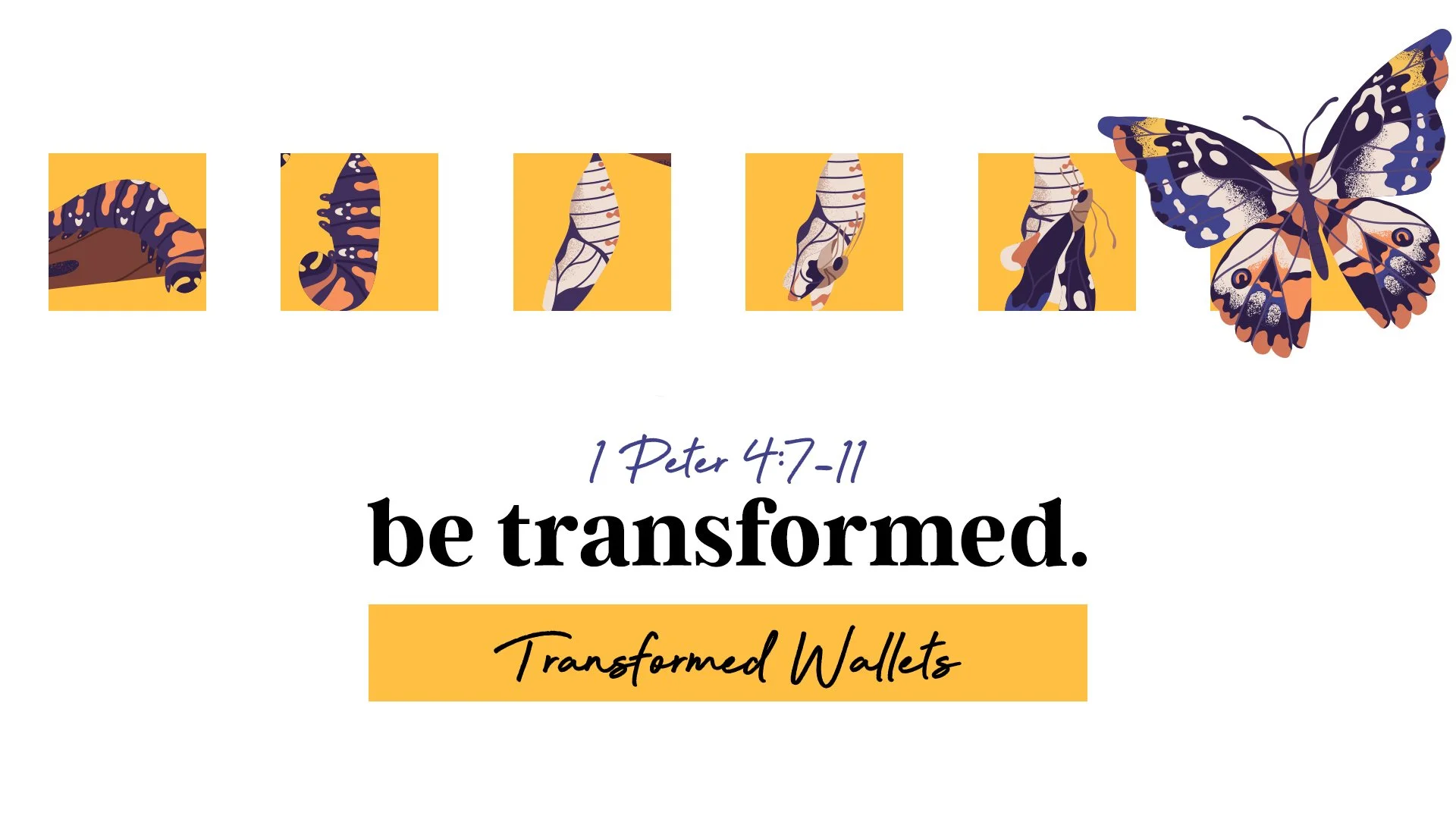 Be Transformed: Transformed Wallets