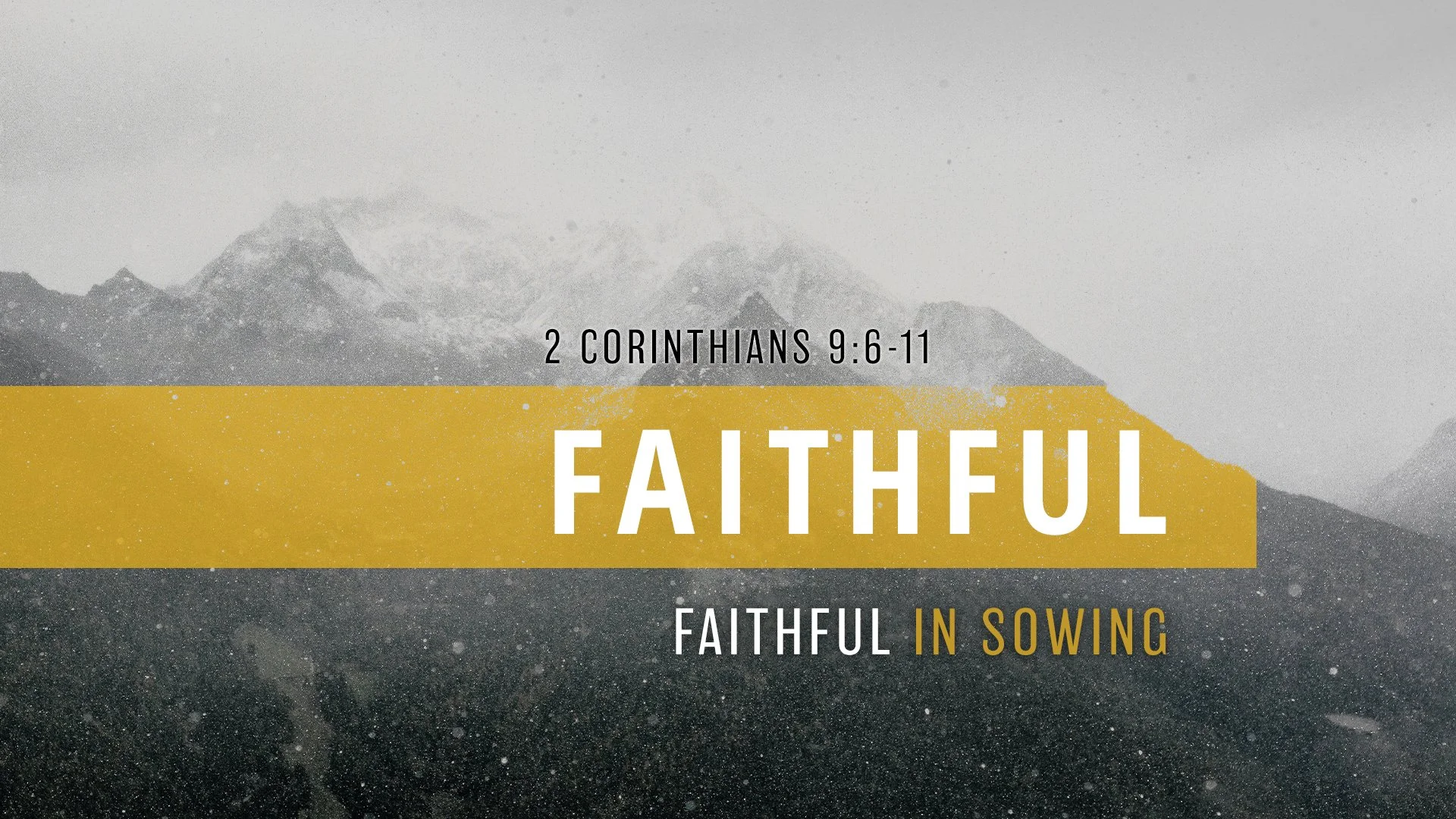 Faithful in Sowing