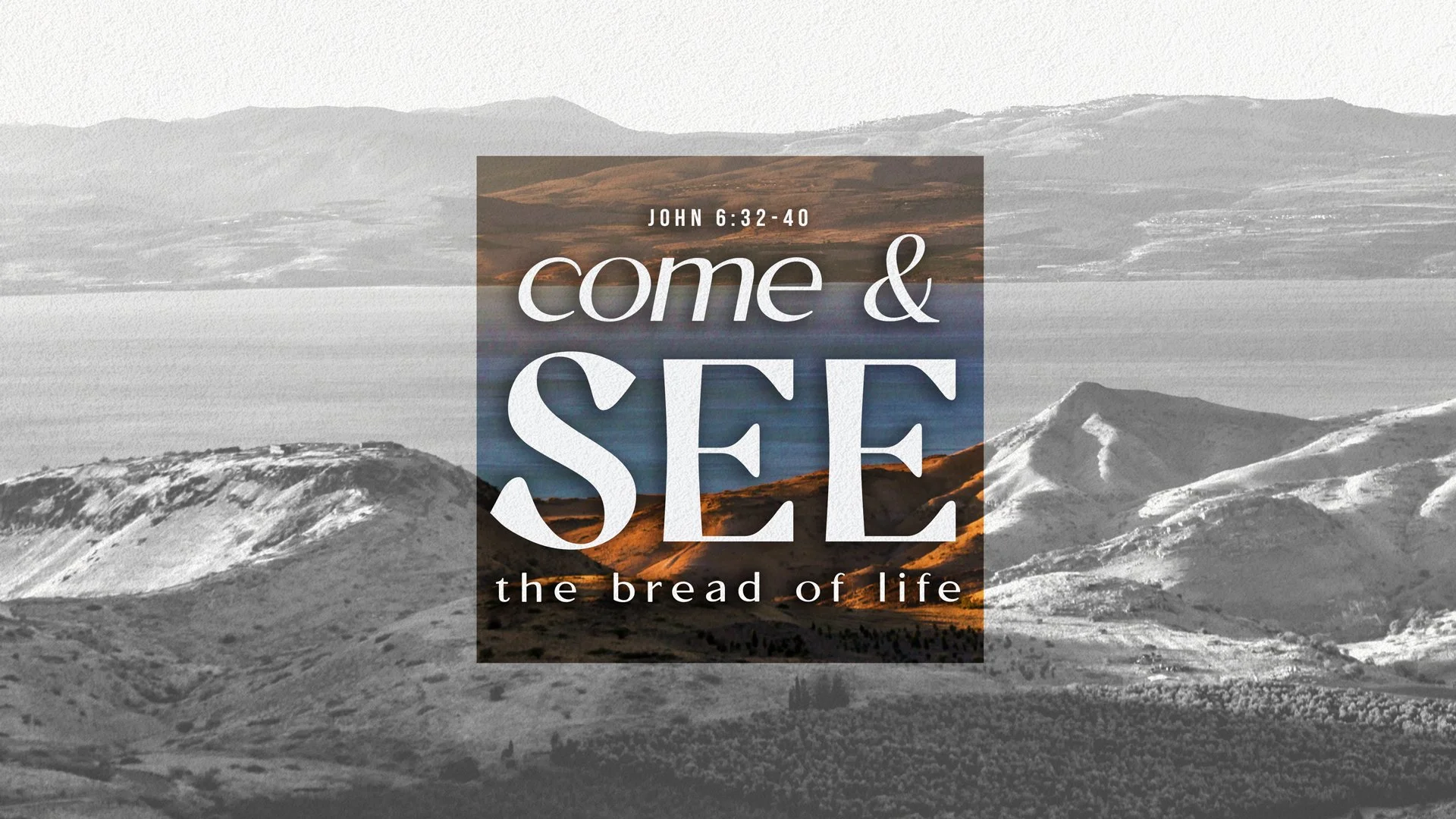Come and See: The Bread of Life