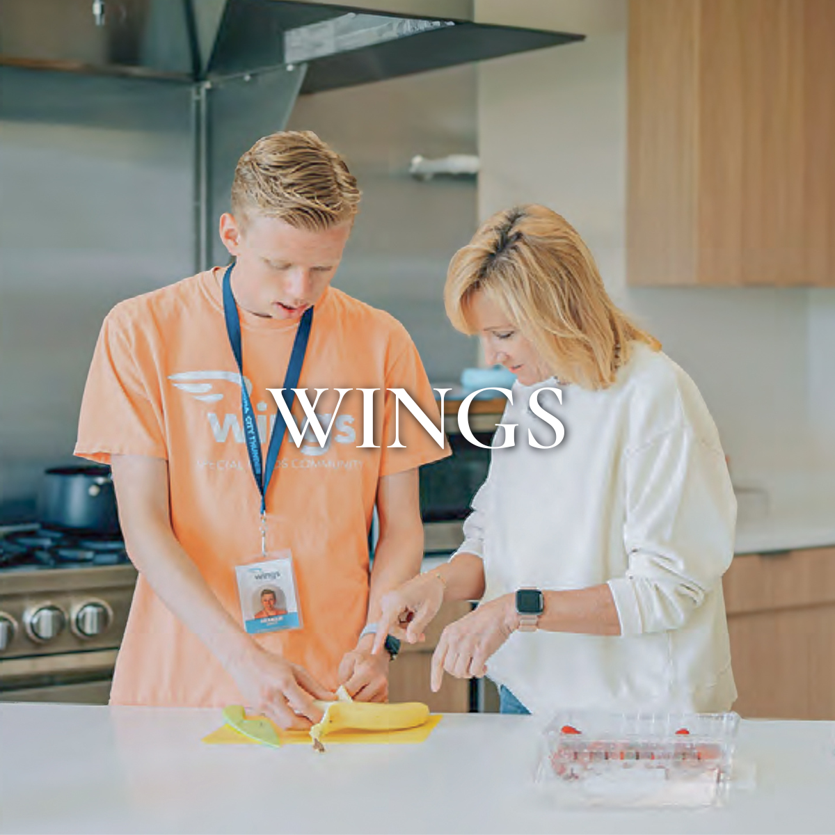 Wings