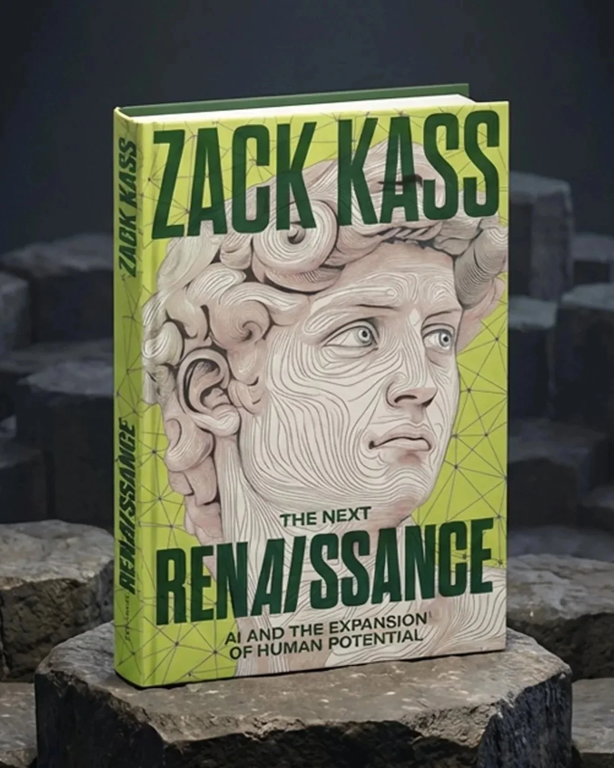 Book titled 'The Next Renaissance: AI and the Expansion of Human Potential' by Zack Kass, featuring a line art style portrait of a woman with curly hair on the cover, placed on a stone surface with a dark background.