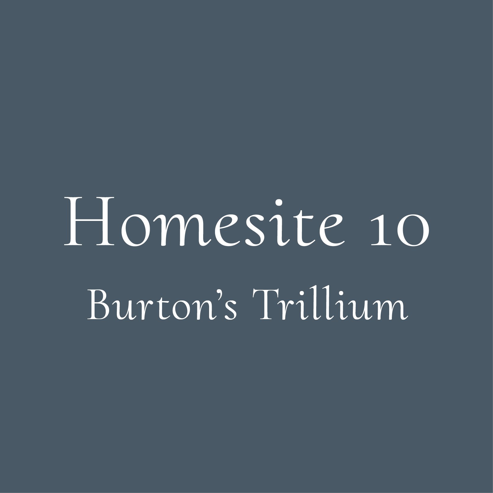 @DG_Burton_Website_HomesiteTiles10.jpg