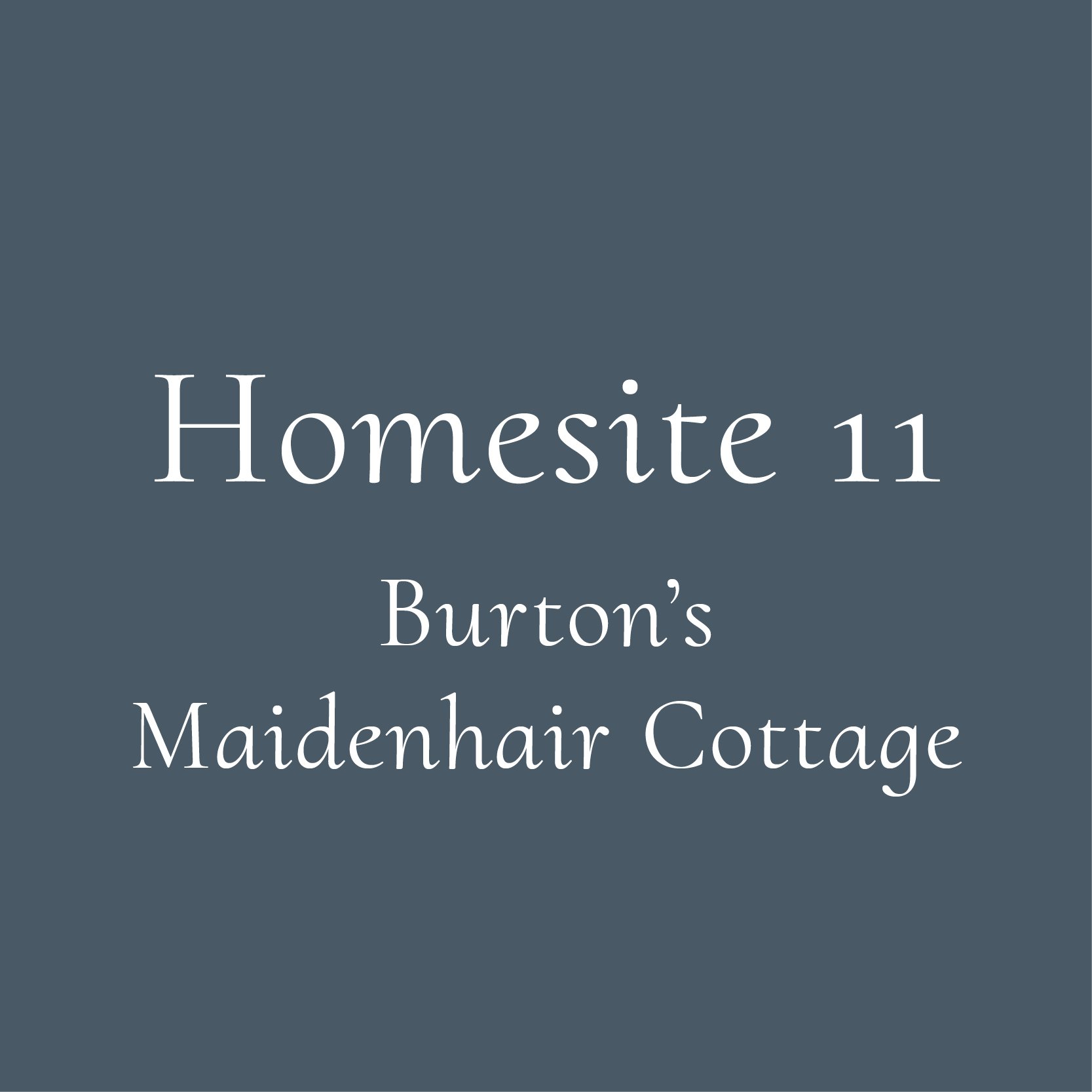 @DG_Burton_Website_HomesiteTiles11.jpg