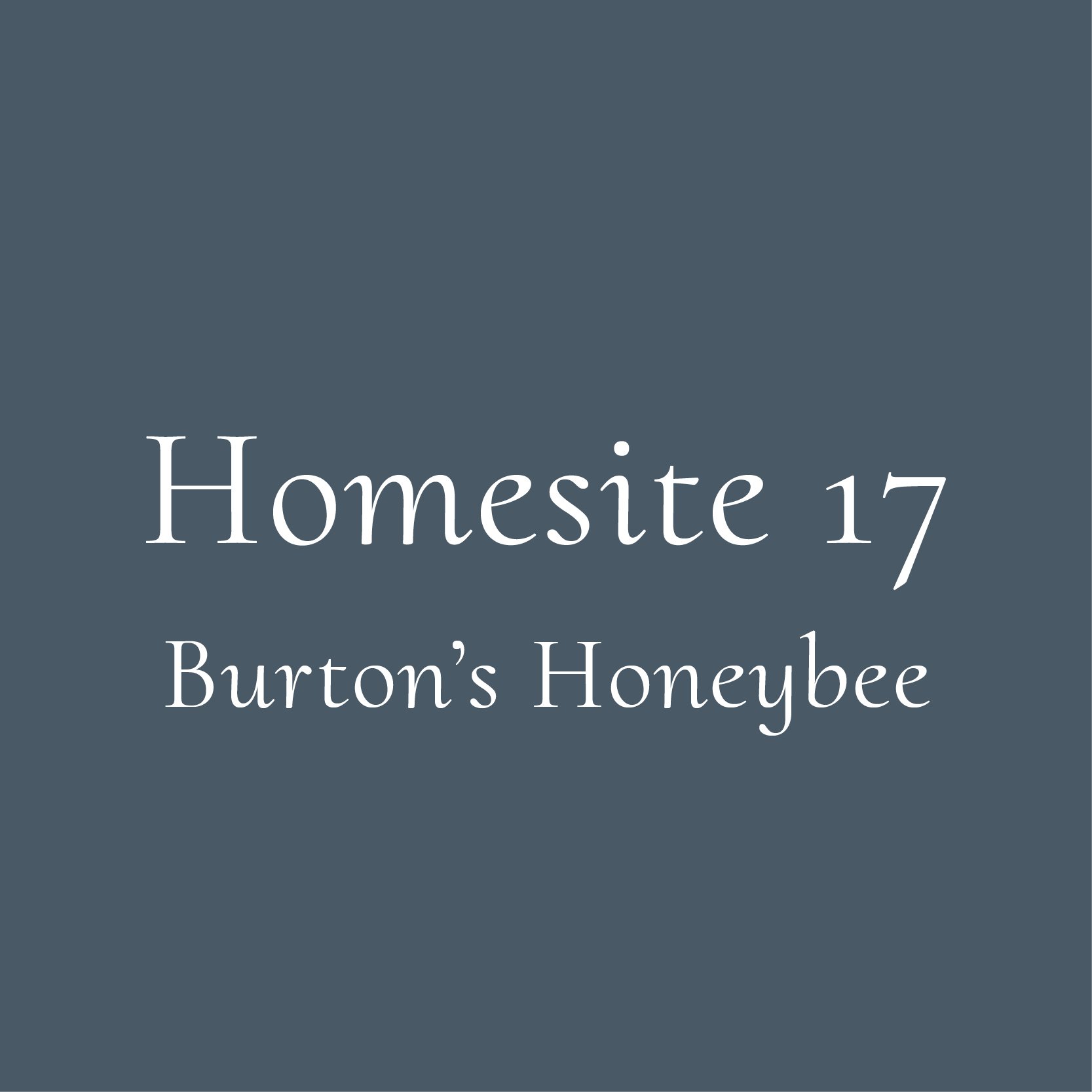 @DG_Burton_Website_HomesiteTiles_17Honeybee.jpg