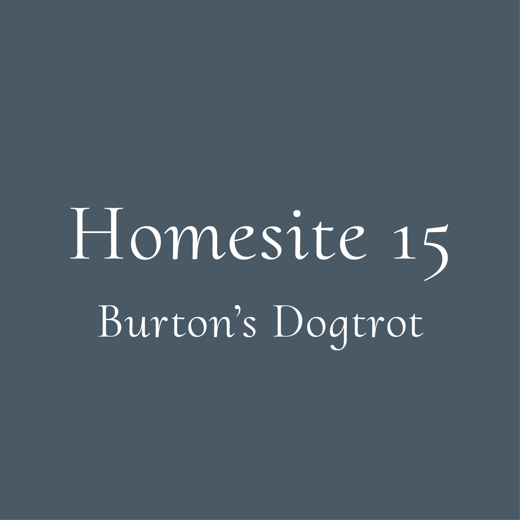 @DG_Burton_Website_HomesiteTiles_Homesite15Dogtrot.jpg