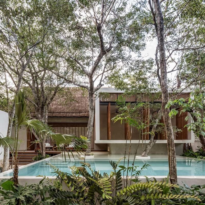 jungle-keva-tulum-hotel-mexique-piscine-vue-800x800.jpeg