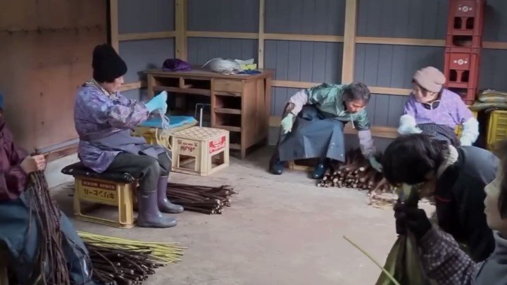 The incredible women from the Kurotani Japanese Paper Association painstakingly create washi paper from the mulberry tree. These women are not only preserving but also practicing a paper-making technique that&rsquo;s been passed down for over 800 yea