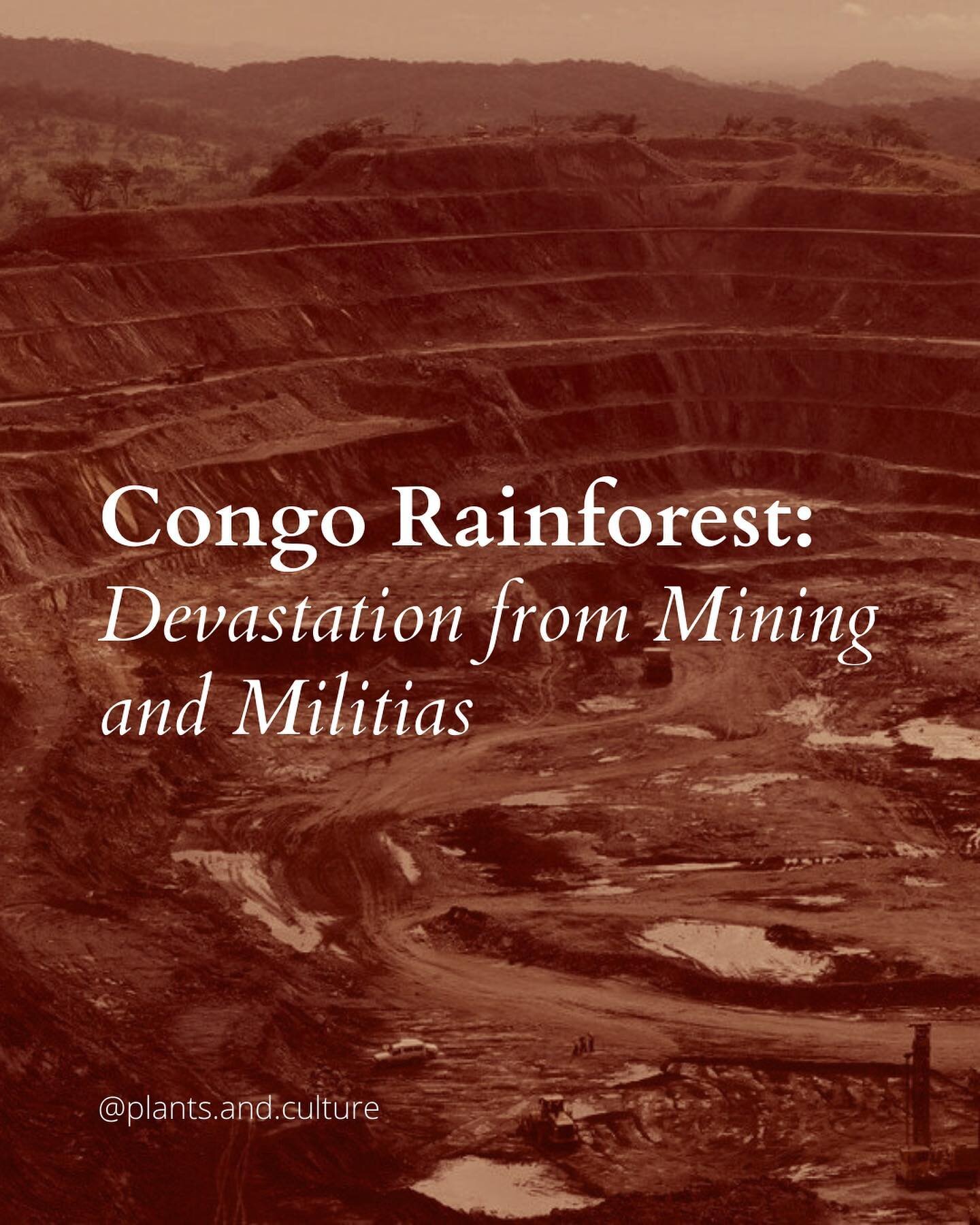 &ldquo;The world&rsquo;s economies, new technologies and climate change all are increasing demand for the rare minerals in the eastern Congo &mdash; and the world is letting criminal organisms steal and sell these minerals by brutalizing my people.&r