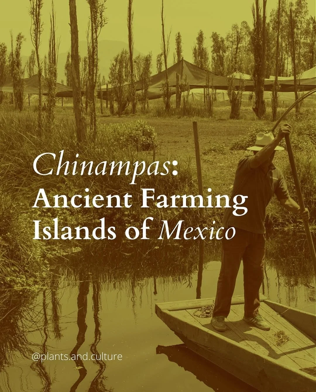 &ldquo;We have a food-growing tradition of hundreds or thousands of years [&hellip;] There&rsquo;s nothing alternative about [chinampas]. It&rsquo;s the historical legacy. This is the normal thing.&rdquo; - David Monachon, a social sciences researche