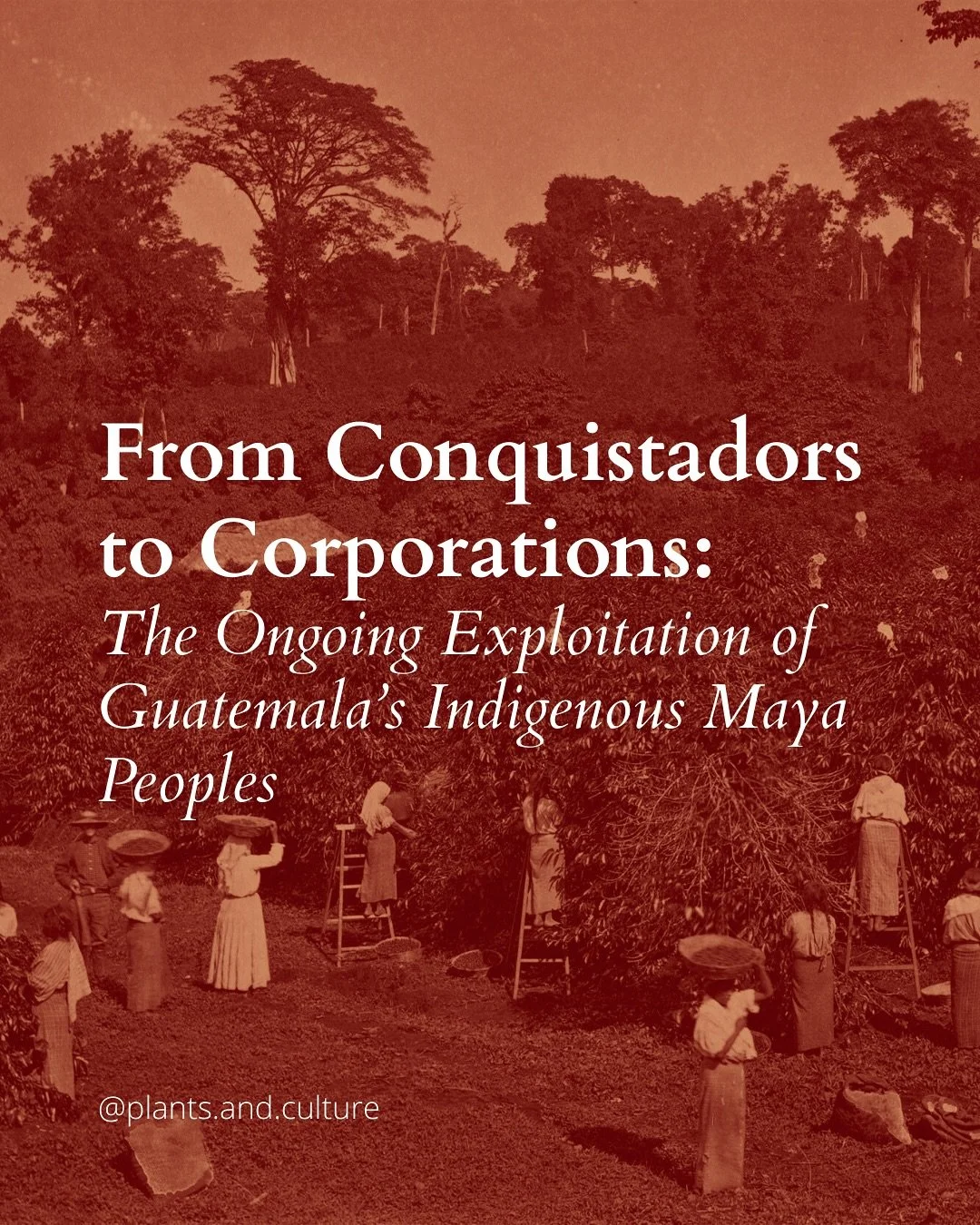 &ldquo;The colonial and present-day exploitation of Indigenous peoples in Guatemala, especially Maya communities, has been deeply entrenched in the country&rsquo;s agricultural and economic structures since the Spanish conquest. The Spanish colonizer