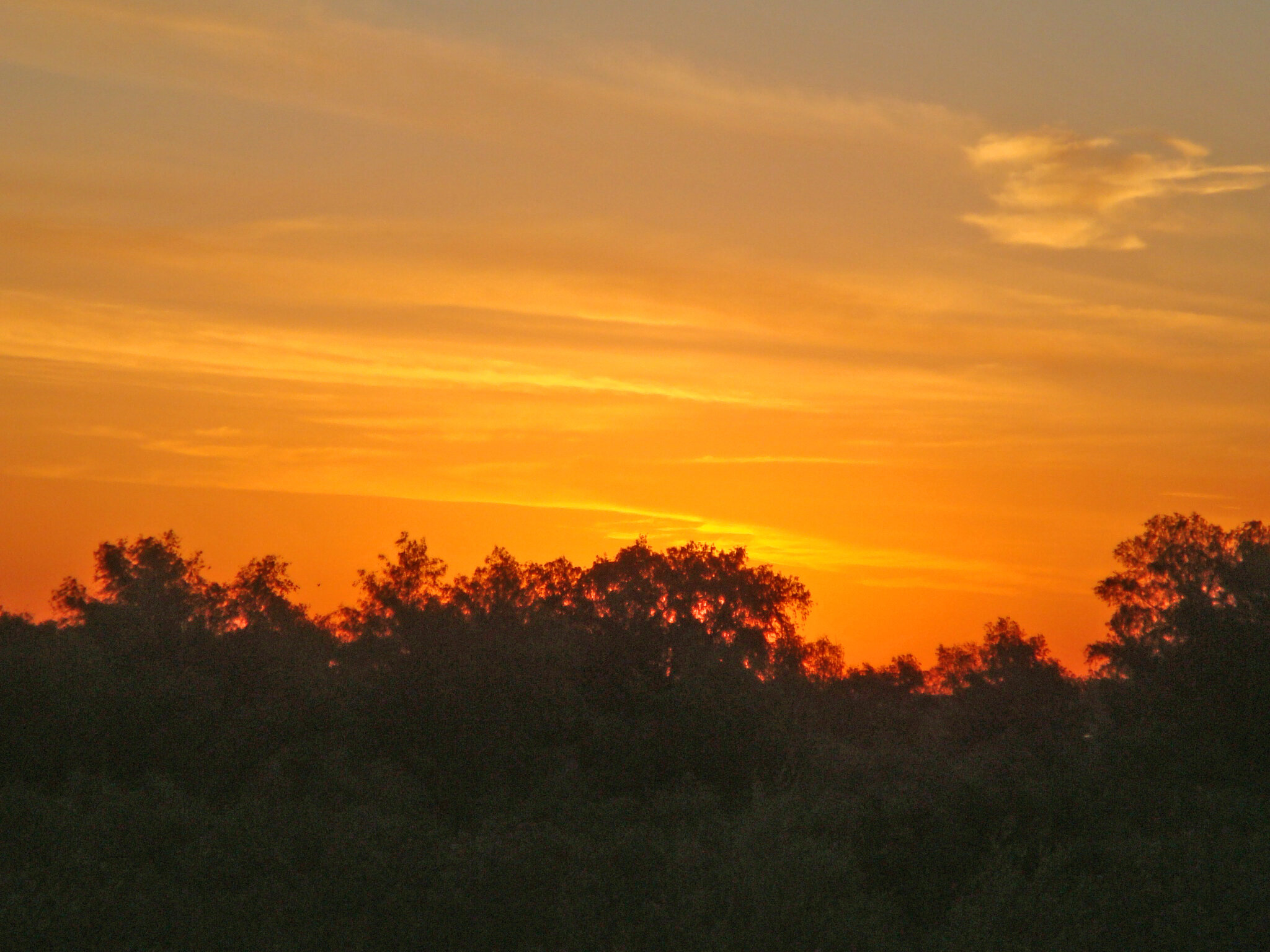 DSC05664.JPG