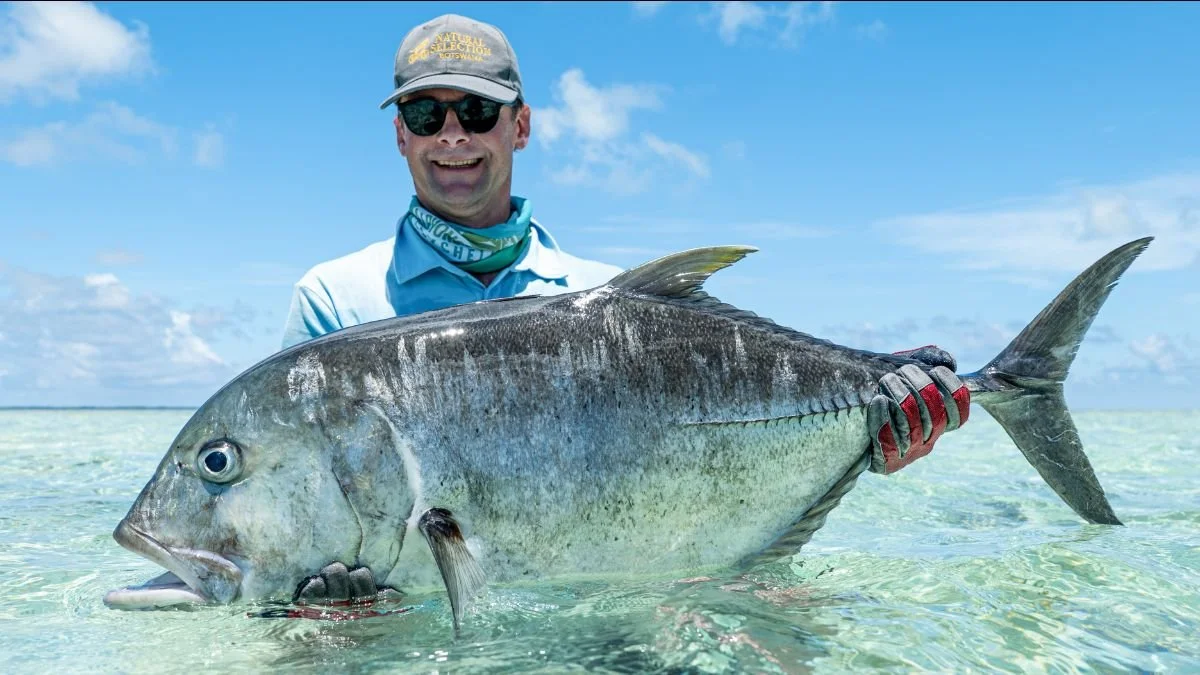 COSMOLEDO FISHING REPORT