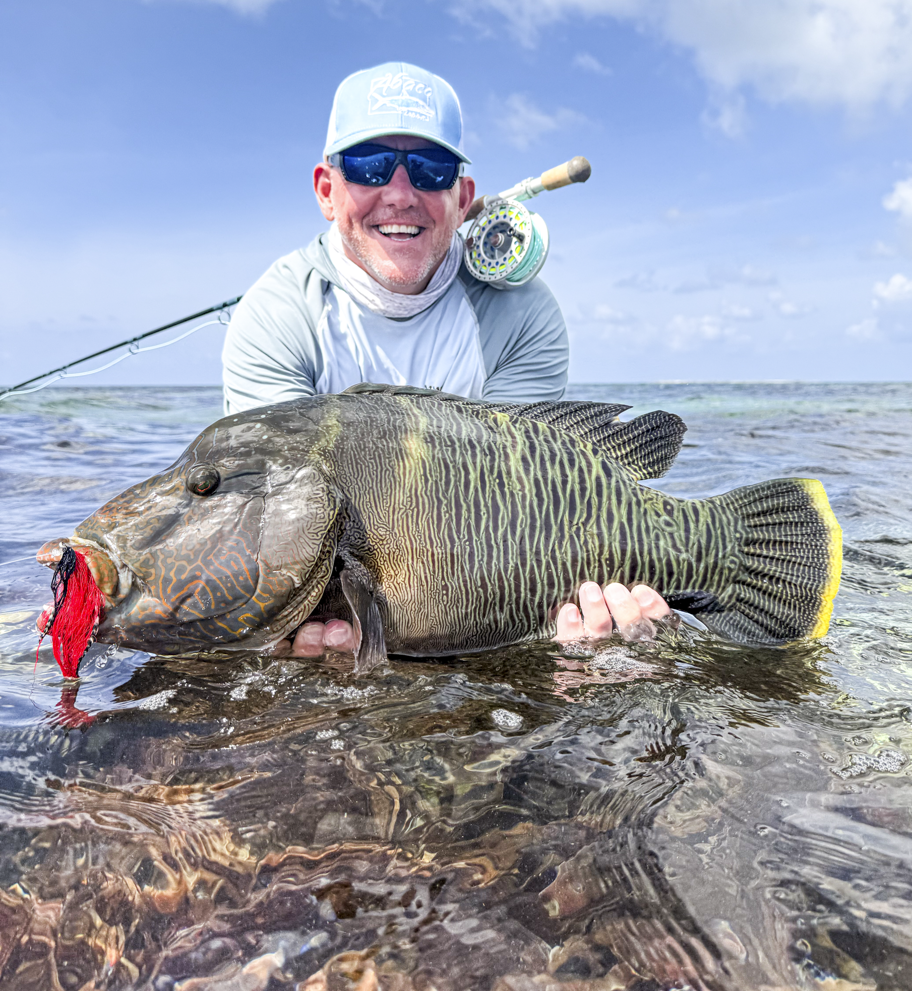 COSMOLEDO FISHING REPORT