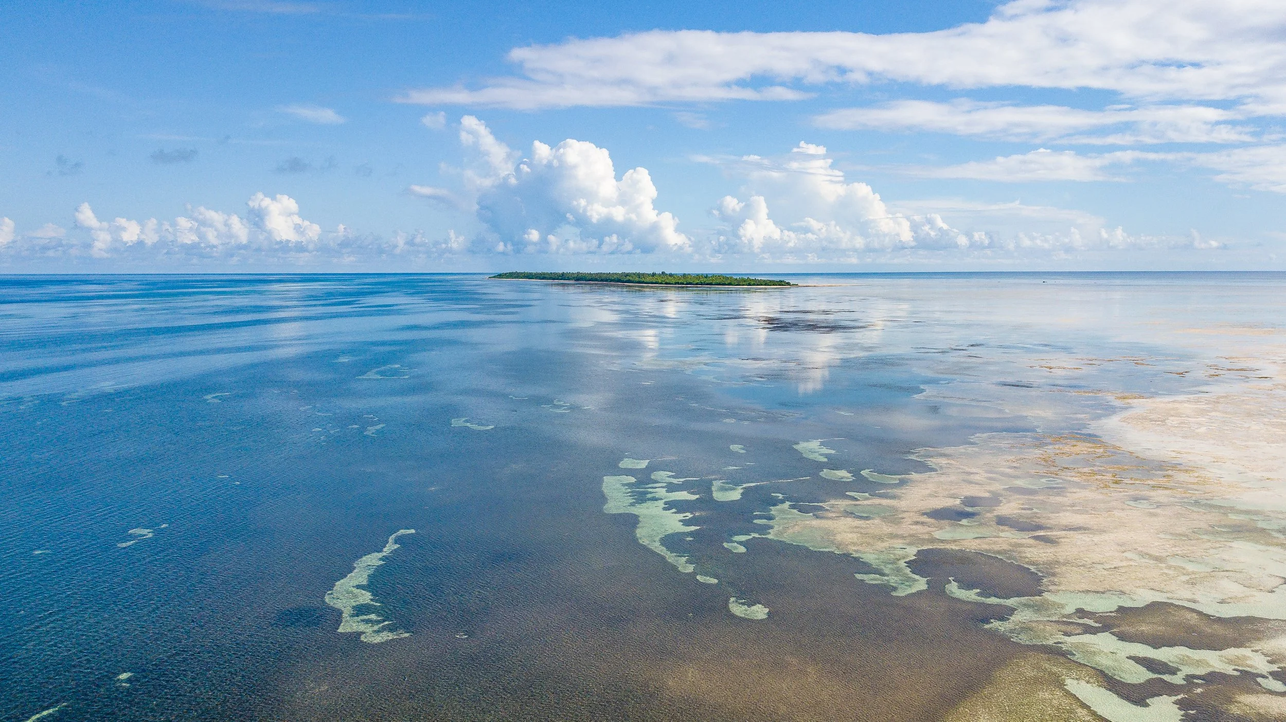 DJI_0019.jpg