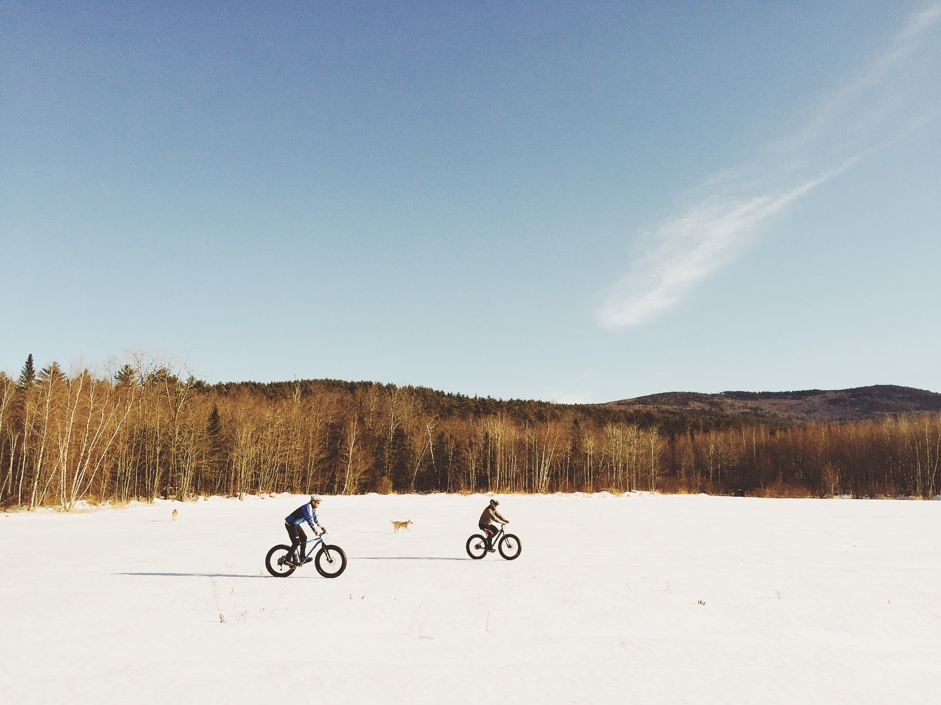 CARTER'S XC SKI CENTER