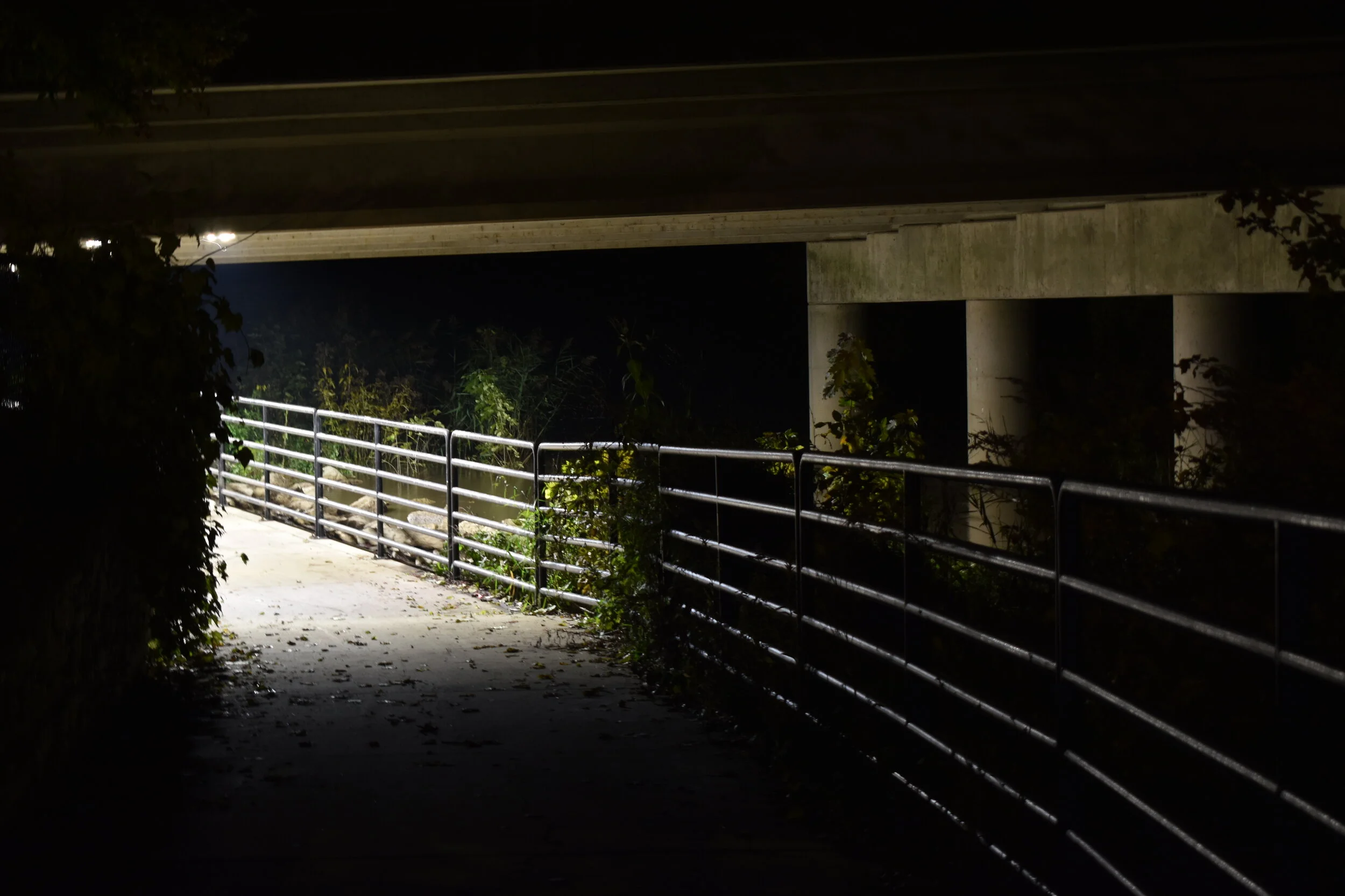 Under the bridge 10.27.2019.JPG