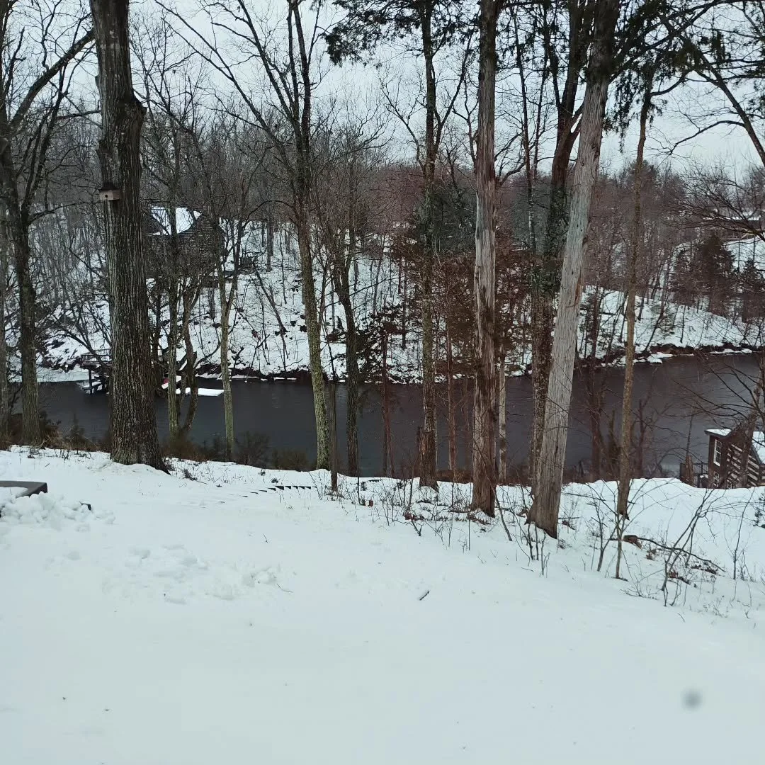 View of TCM's namesake Twin Coves from the office on this winter day