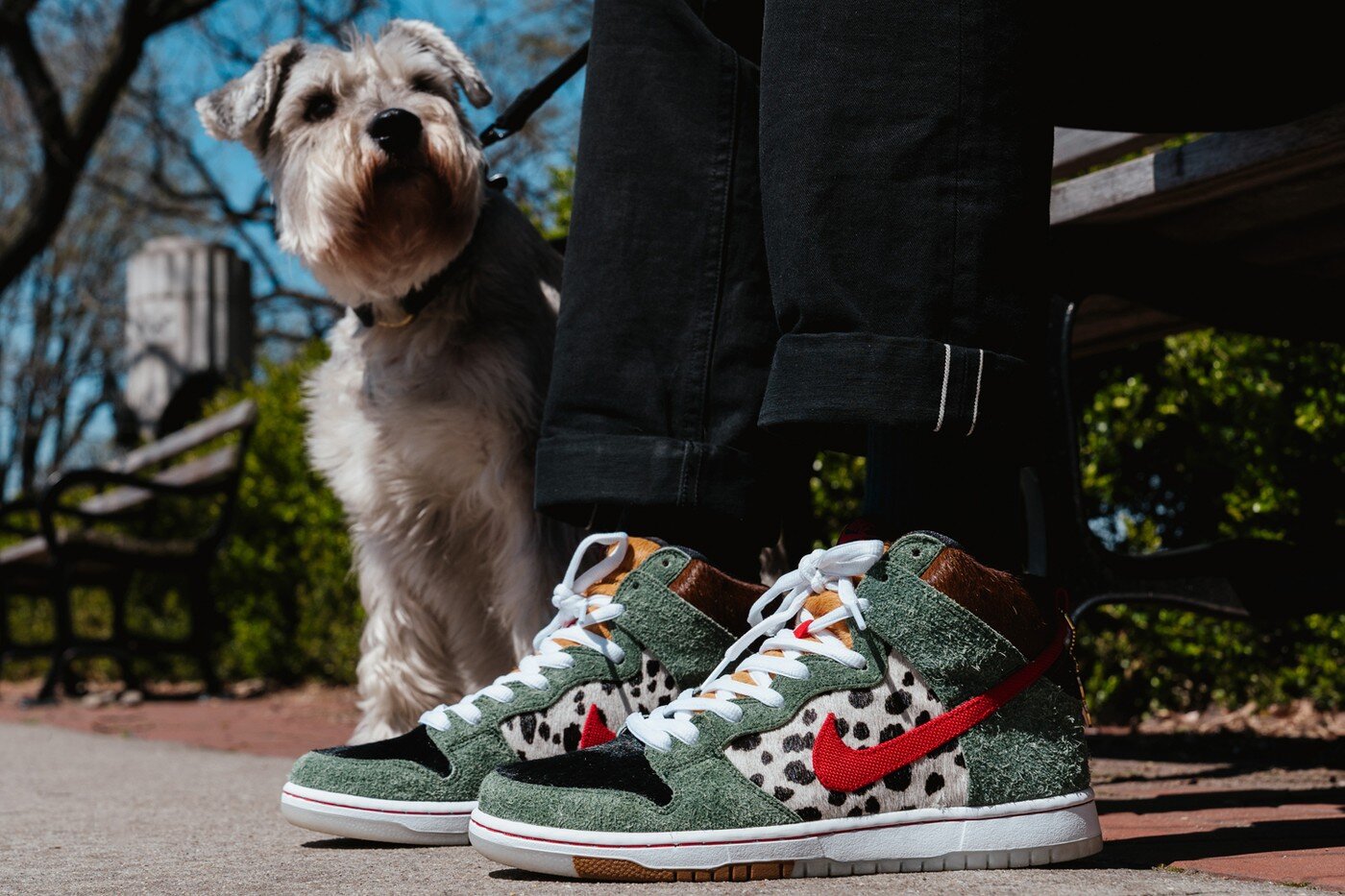 Nike SB Dunk High "Walk the Dog" Photo Editorial