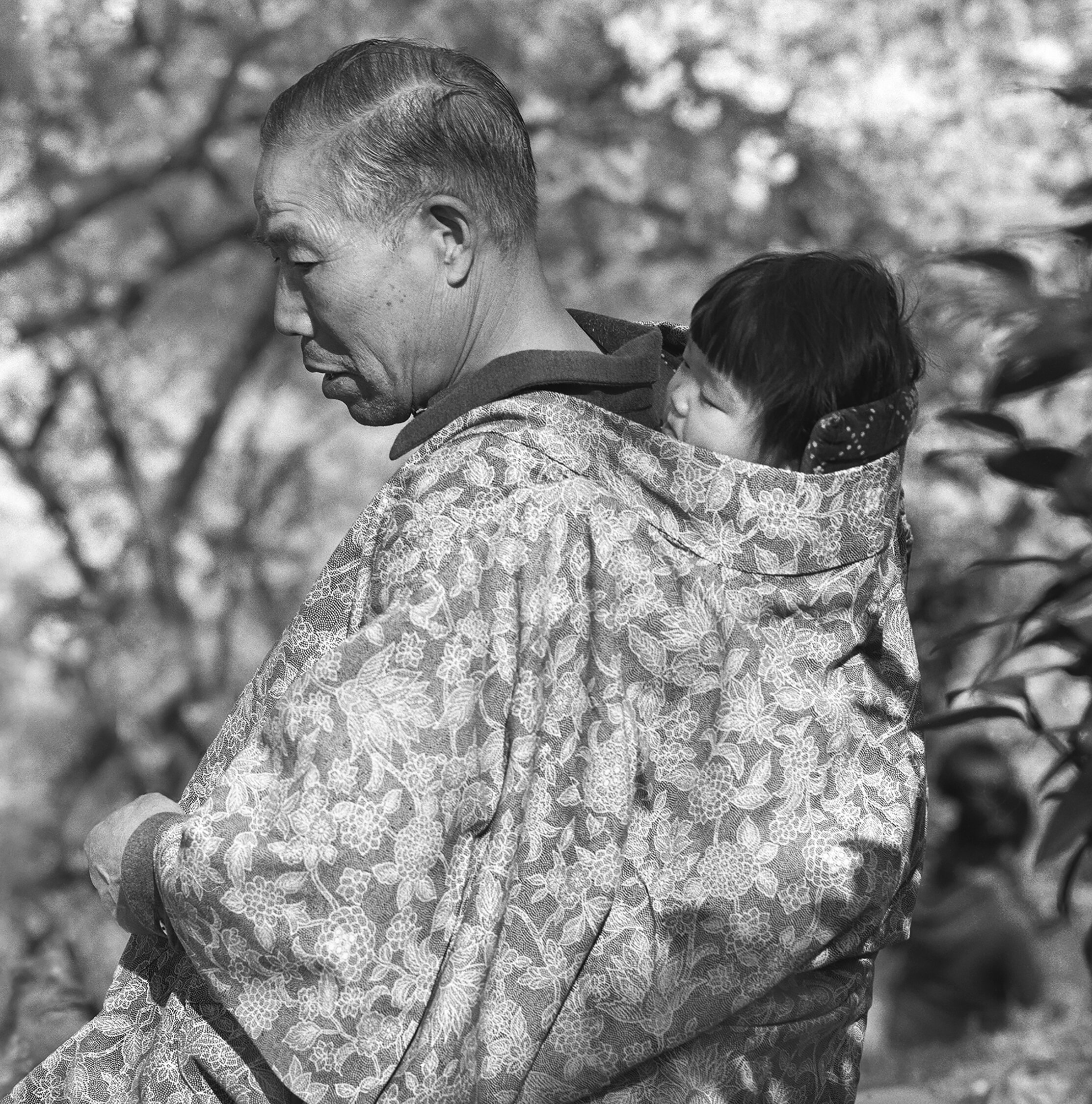 Cherry Blossom viewing with granddaughter, Yokosuka, April, 1977.