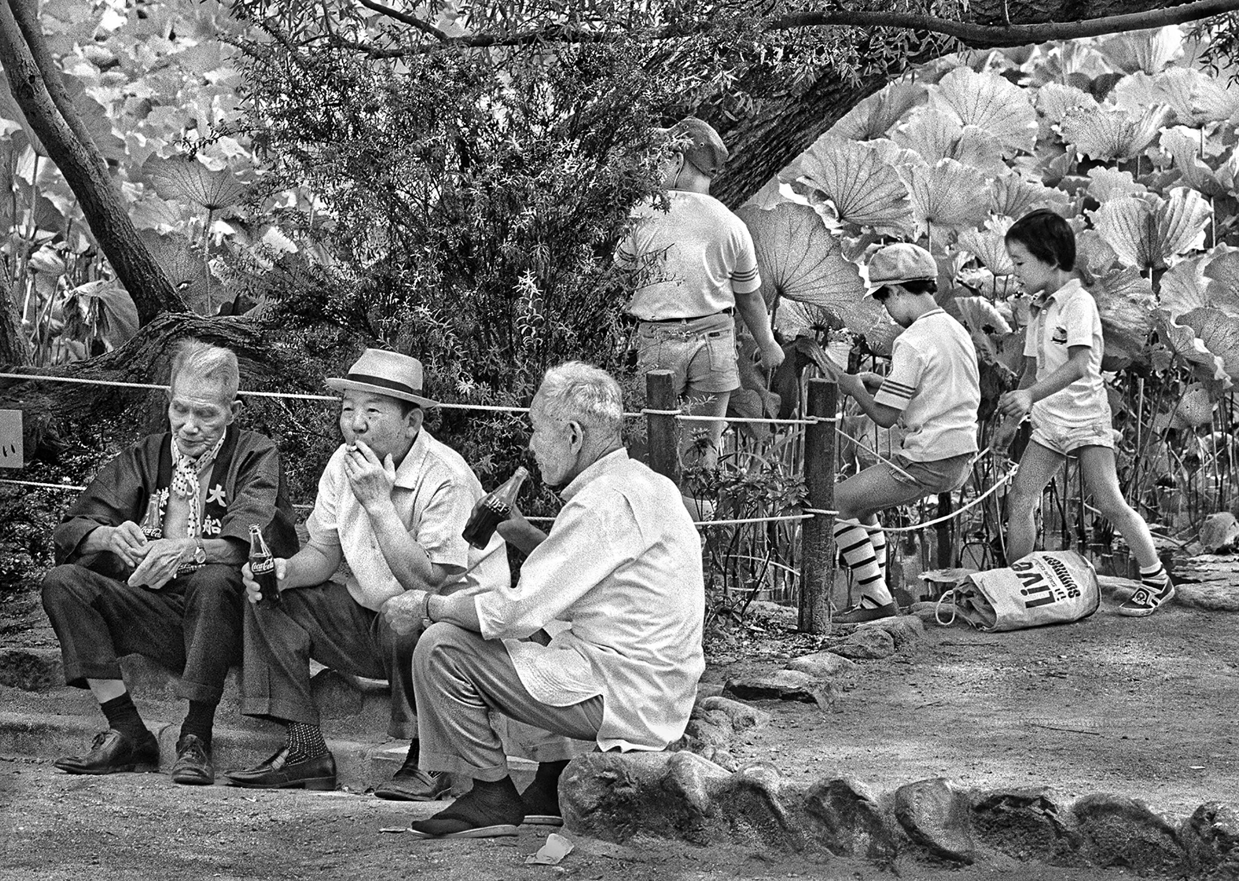 Contrasting generations, Tsurugaoka Hachimangū shrine, Kamakura, September 1977.