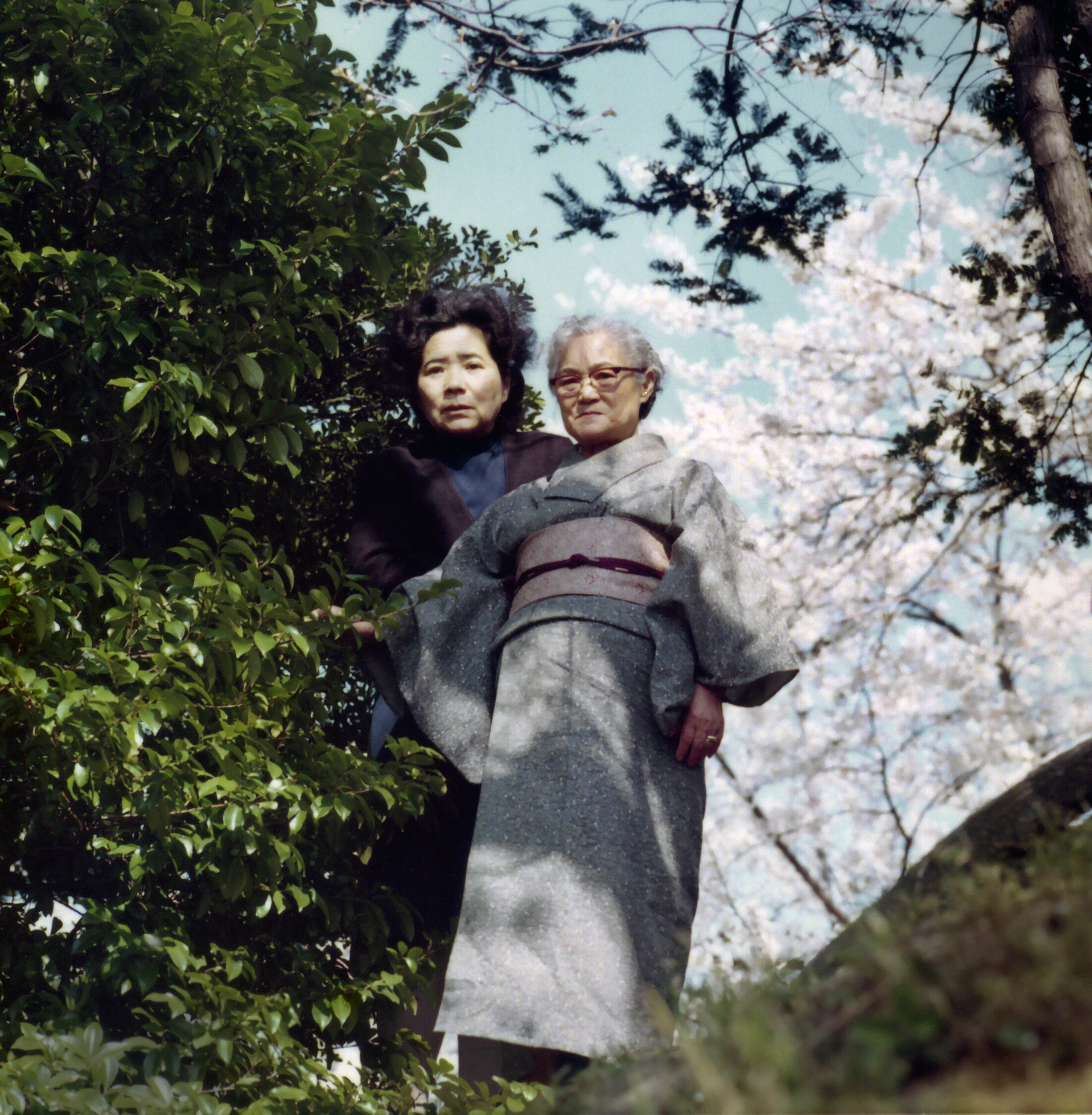 Mother and daughter Cherry Blossom viewing, Kamakura, April 1977.