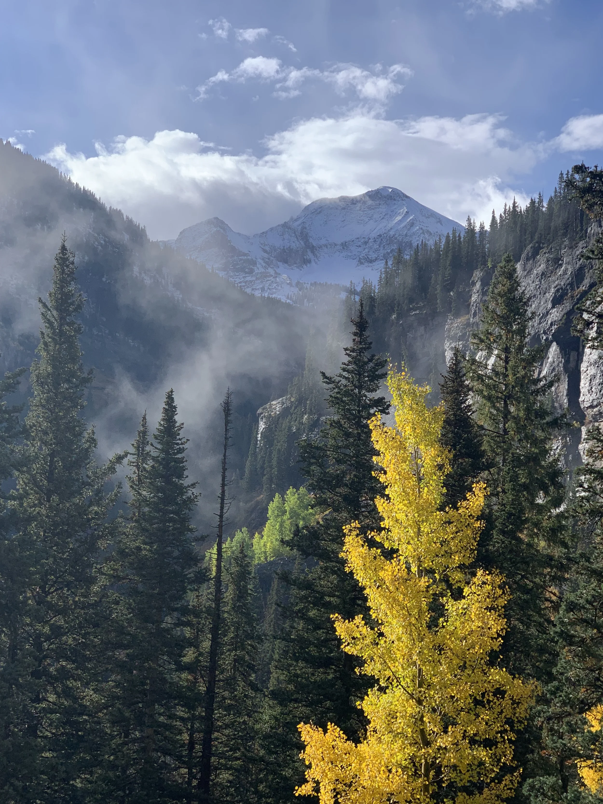 Western Colorado Accounting. Yankee Boy Basin.