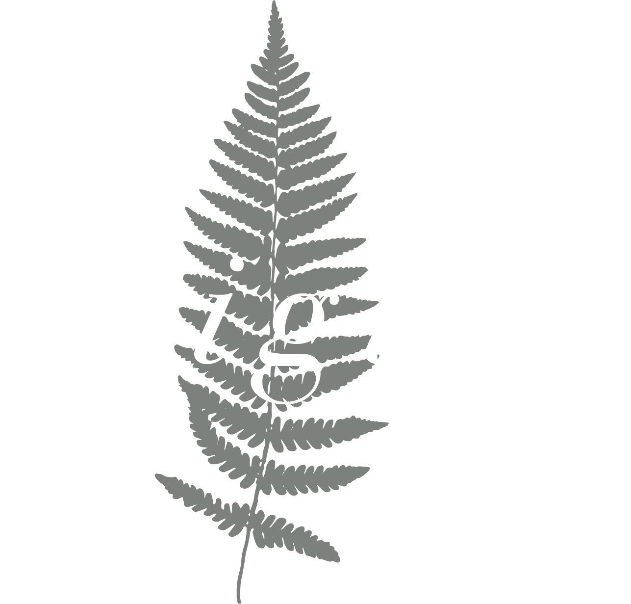 Origins Organic Hair Studio