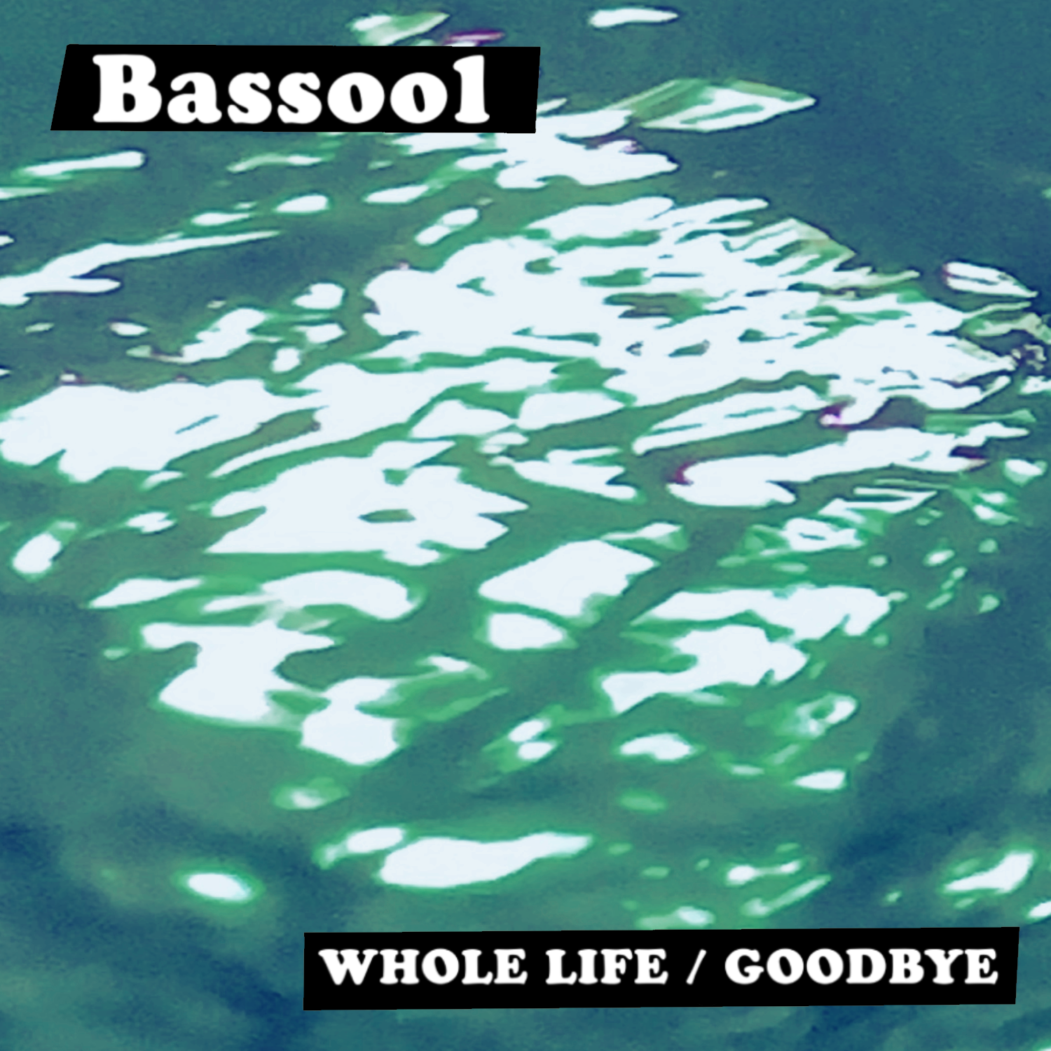 Whole Life / Goodbye