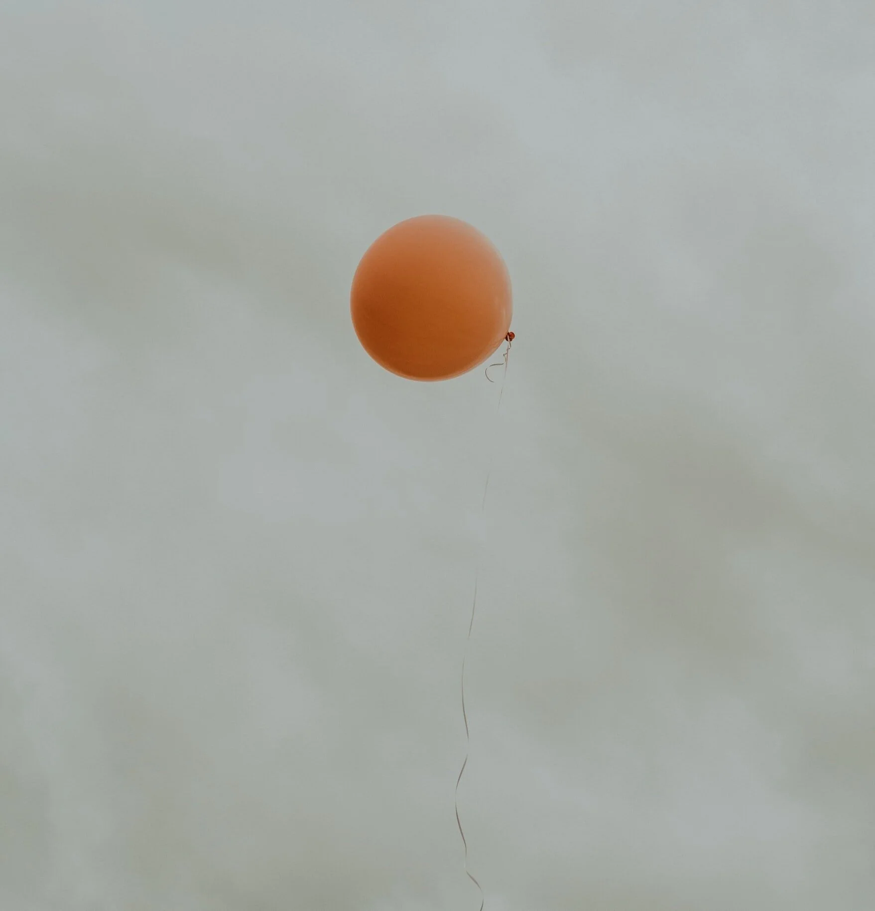 Disappearing Act