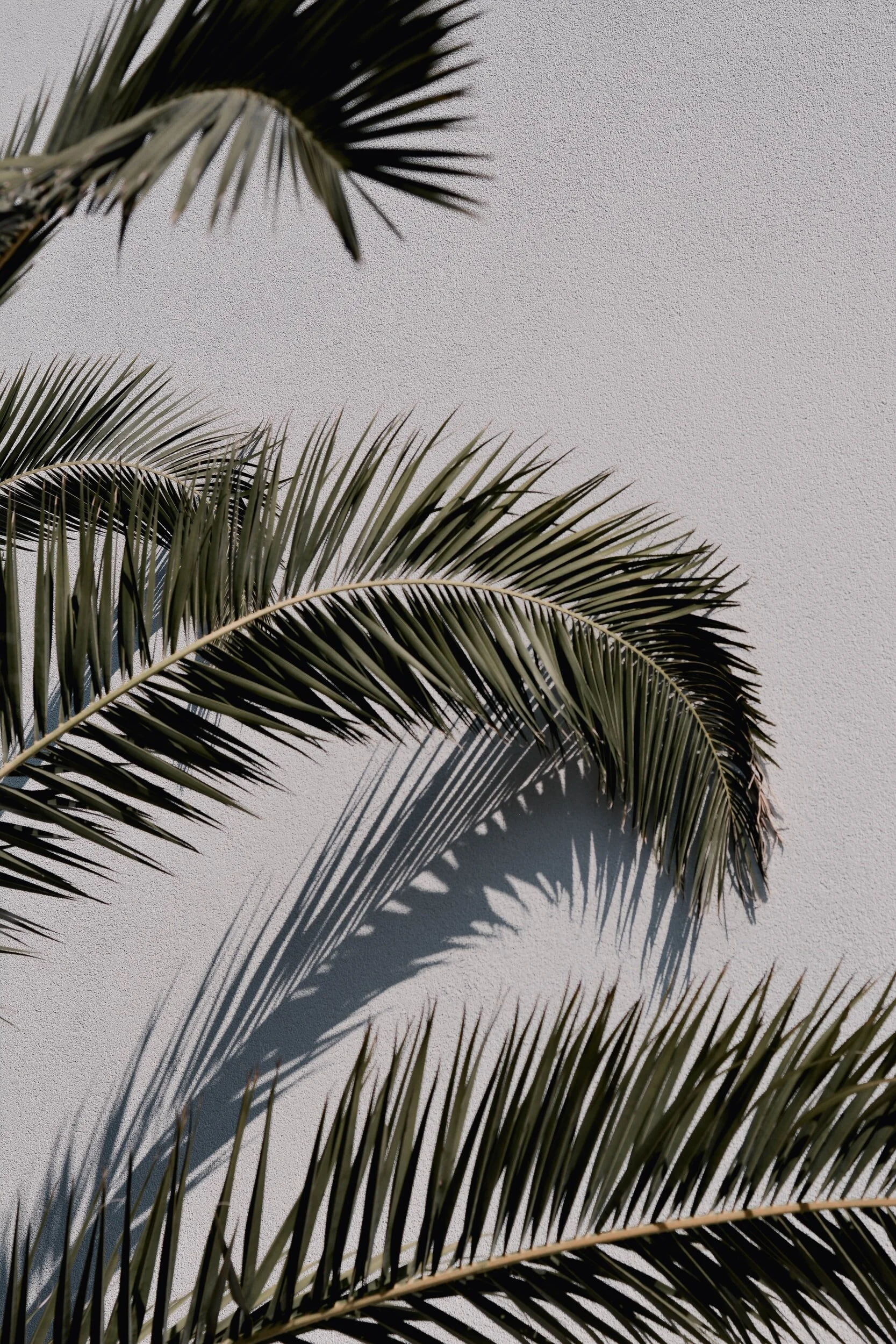 unsplash-image-XC_5LFrWvyo.jpg