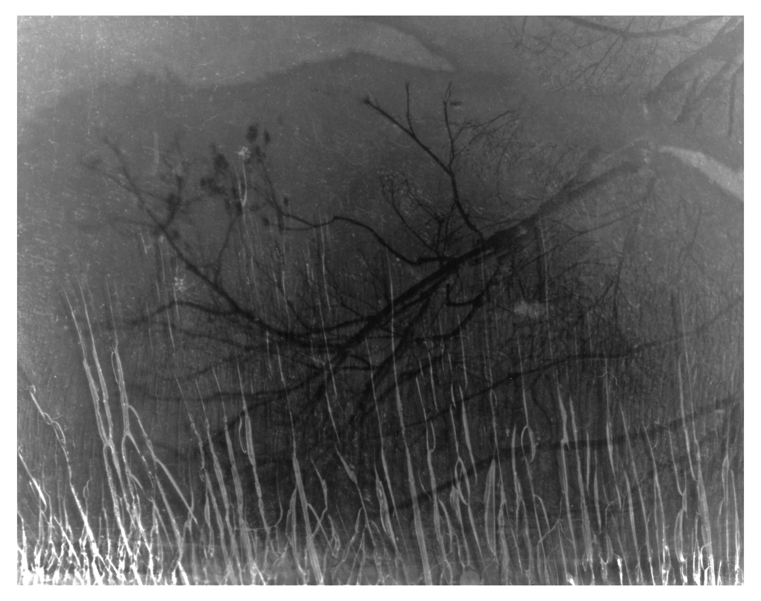 Dream[E]scapes